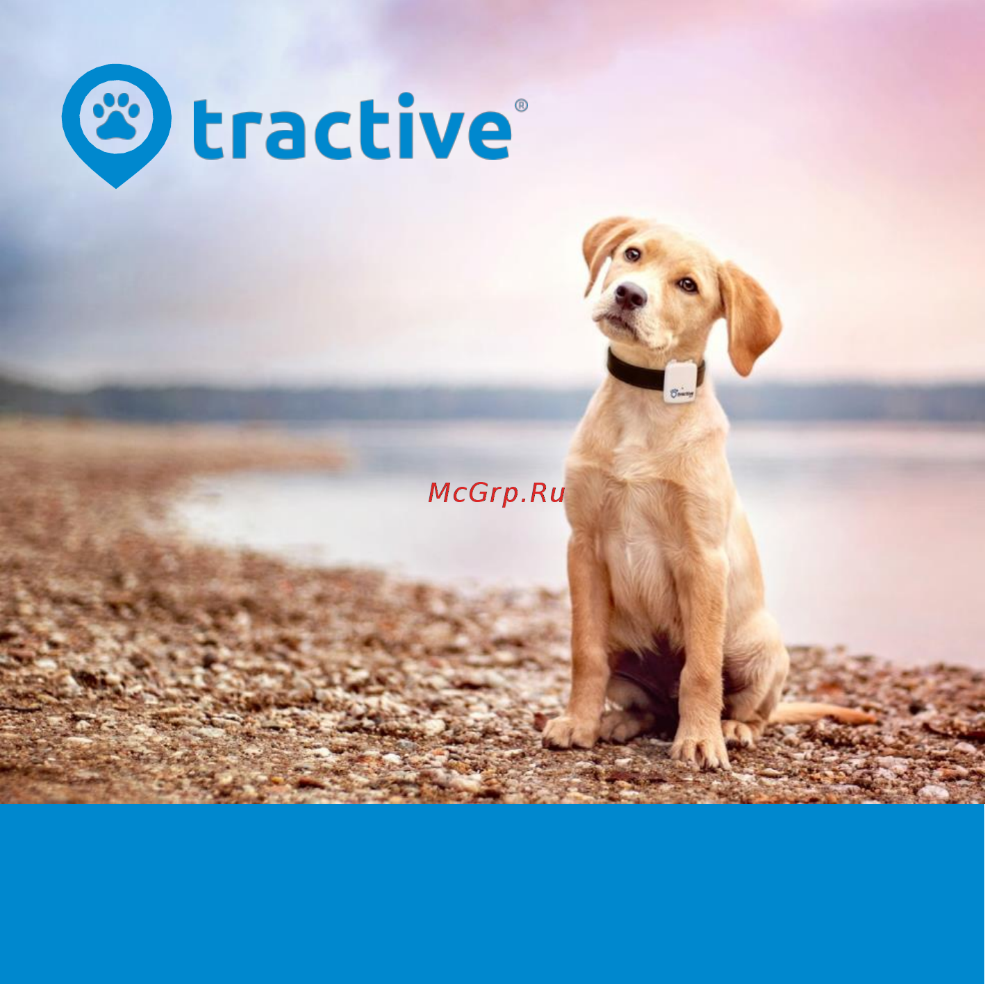 Tractive GPS трекер для домашних животных (TRATR1) Руководство по эксплуатации онлайн