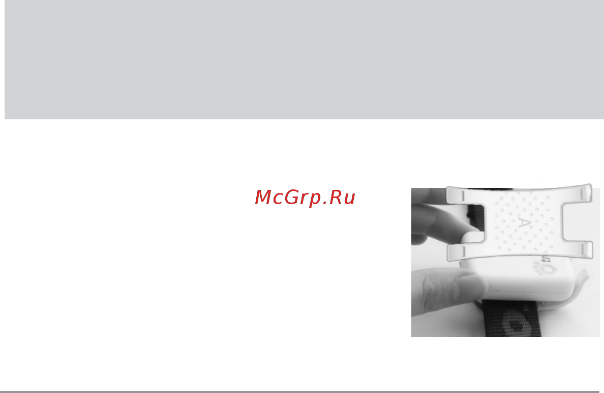 Tractive GPS трекер для домашних животных (TRATR1) [9/11] При первом запуске трекера tractiv