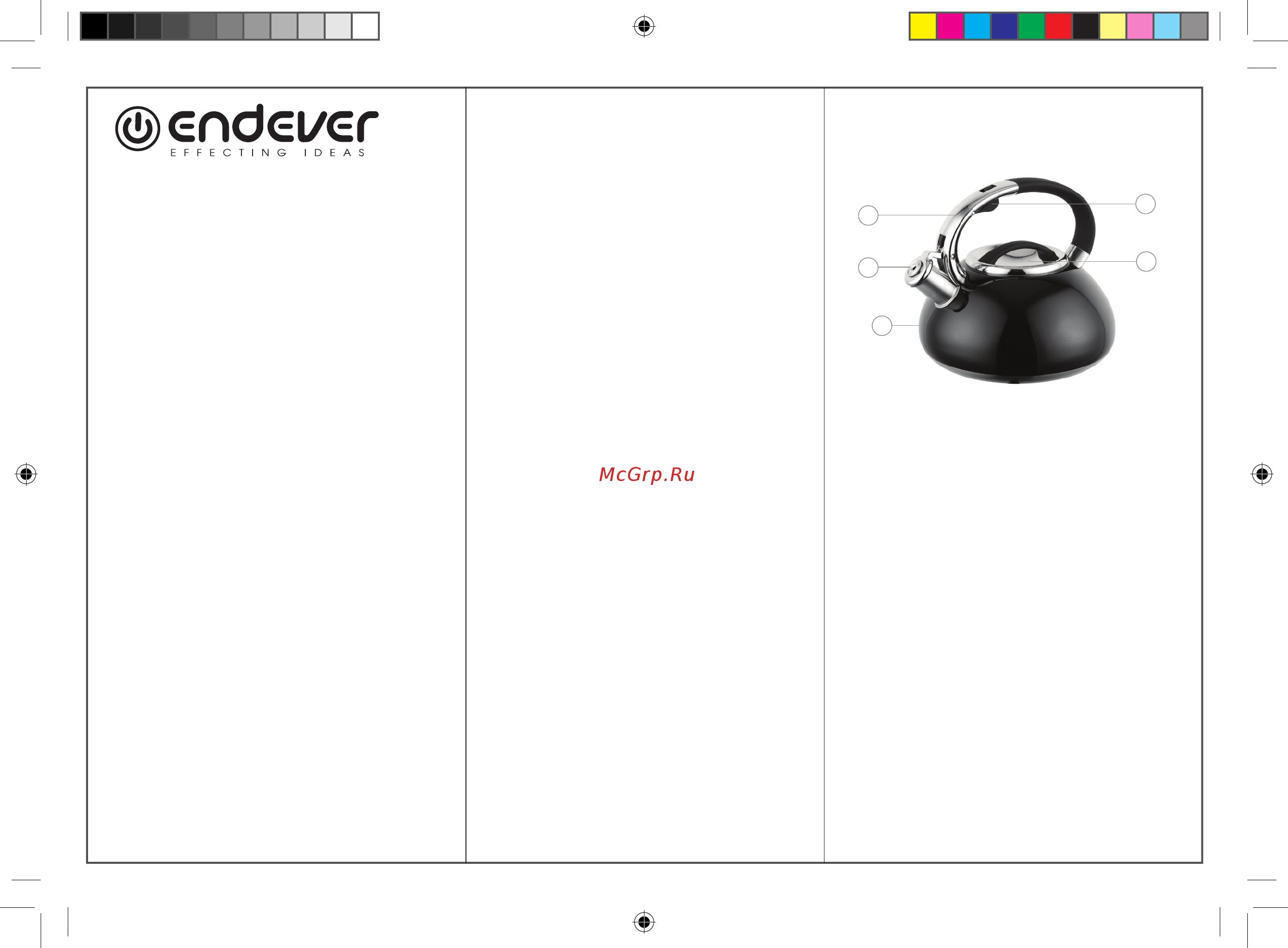 Endever Aquarelle-308 Руководство по эксплуатации онлайн