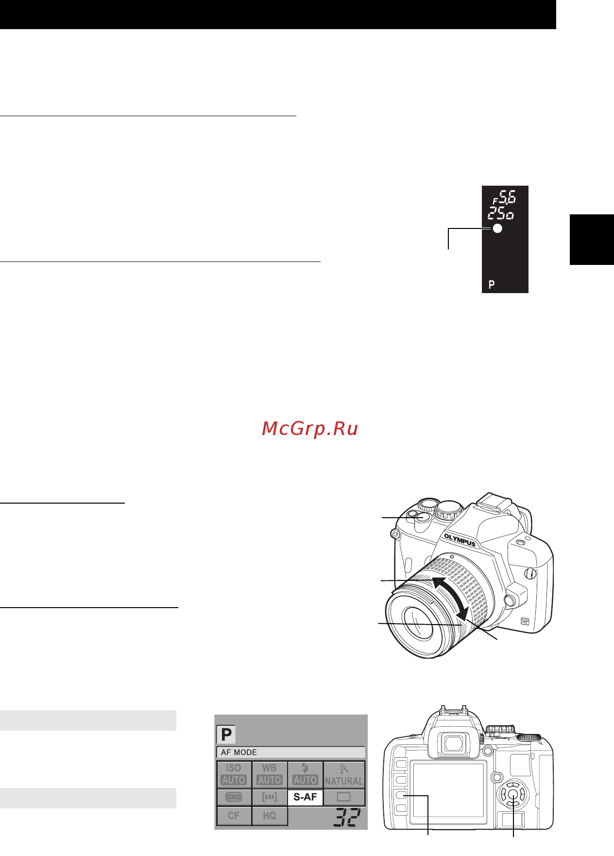 Olympus E410 Kit 17-45 [43/128] Режим фокусировки