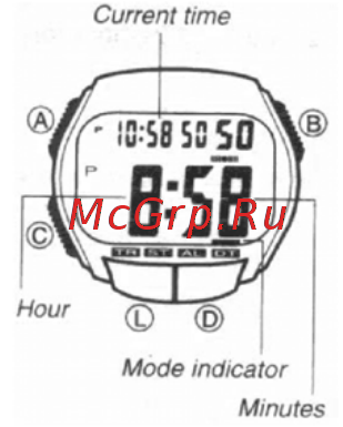 Casio W-732H-9A Инструкция по эксплуатации онлайн [4/4] 439917