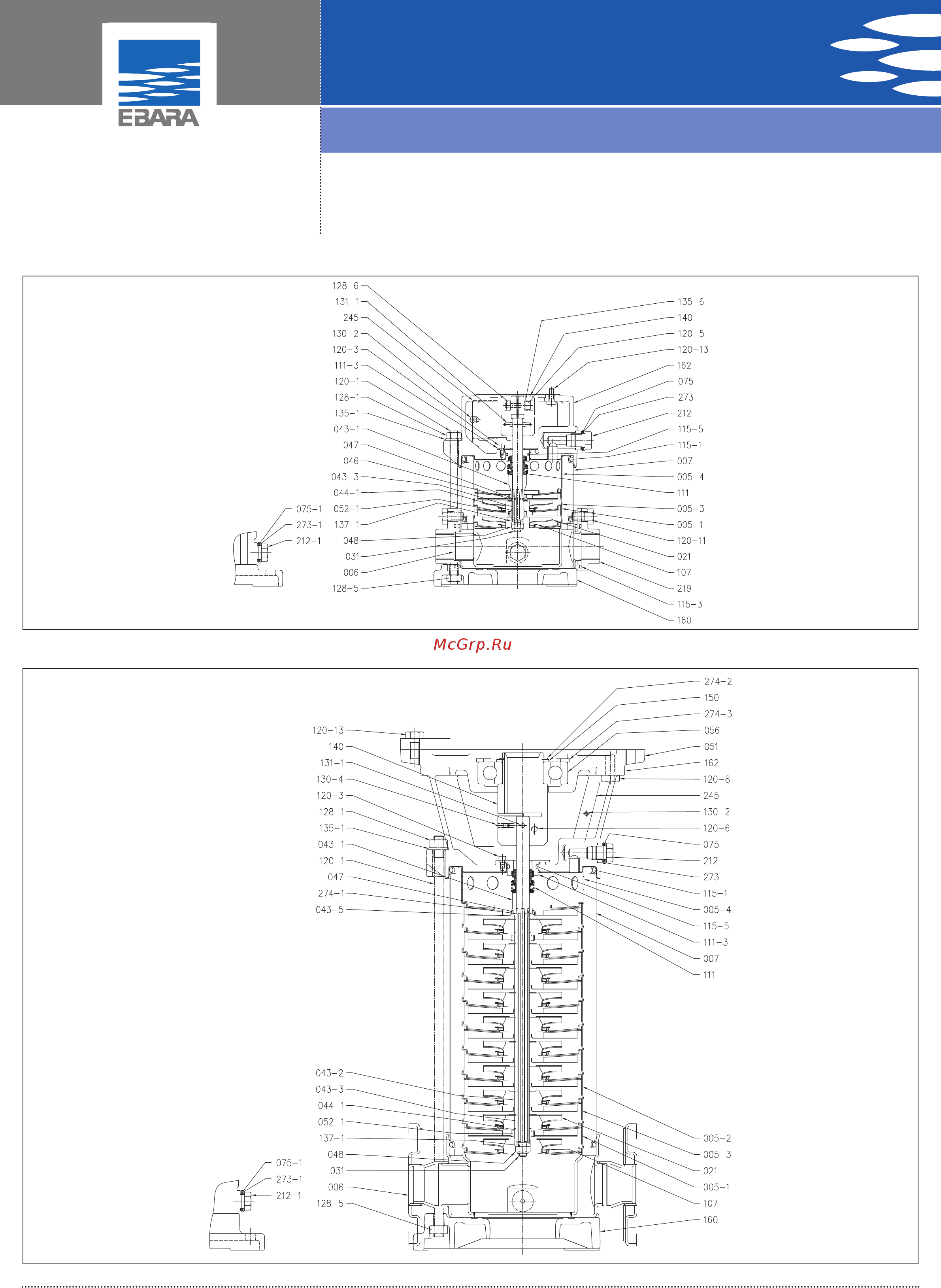 Ebara EVM 3 7N5/0,75 [21/35] Vertical multistage electric pumps
