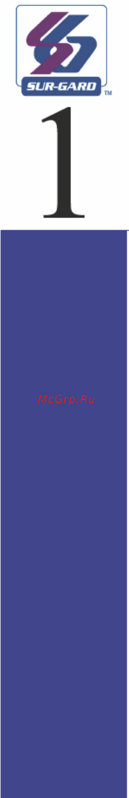 DSC SG-SYSTEM I (IP) [11/105] Введение