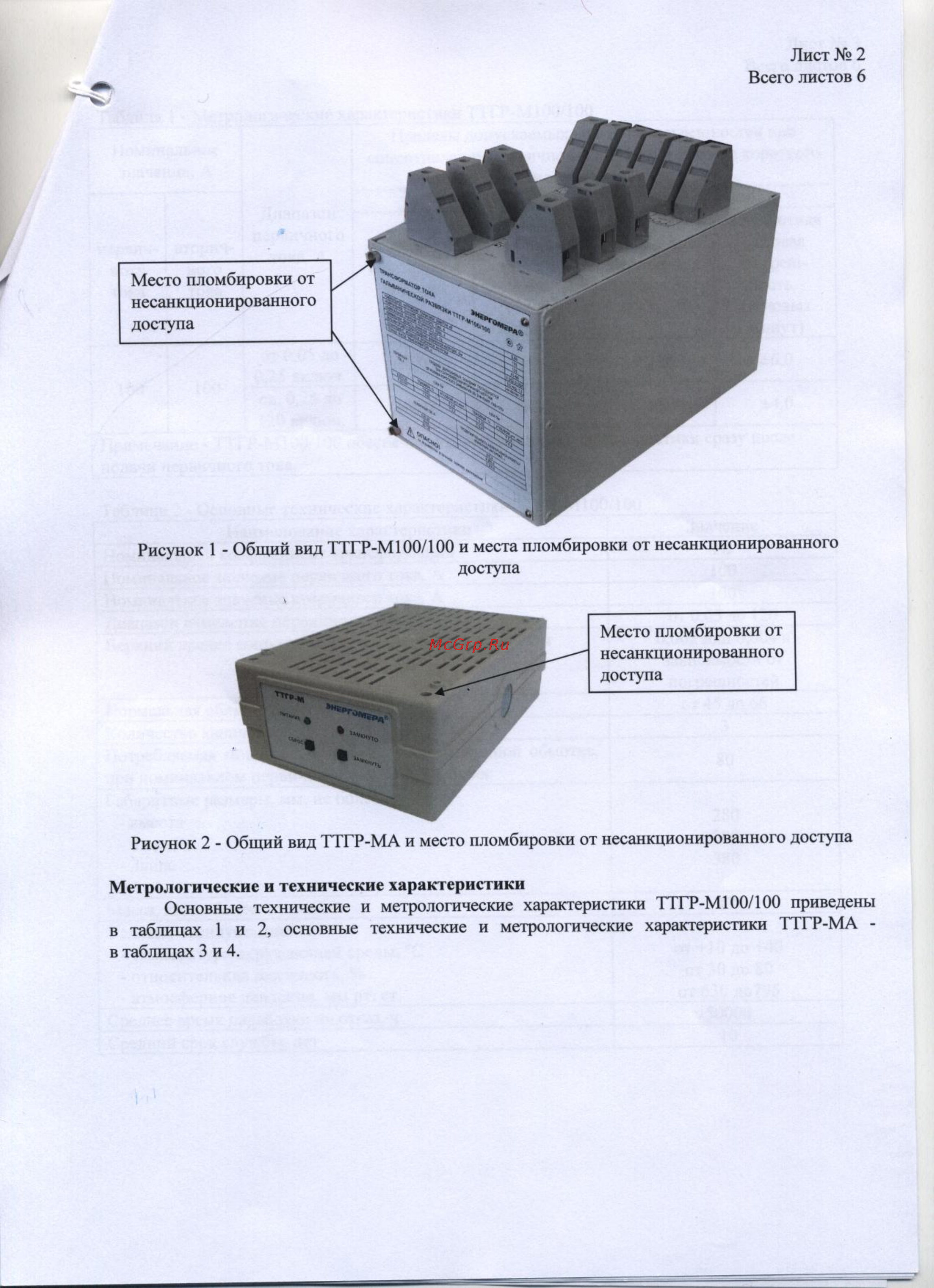 Энергомера ТТГР-М100/100 Описание типа онлайн [2/7] 440961