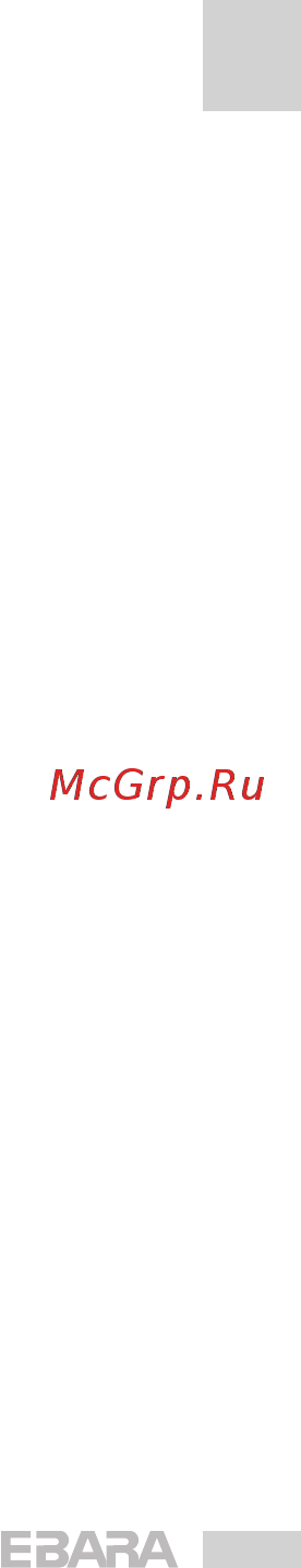 Ebara BHS 222-22 Инструкция по эксплуатации онлайн [19/59] 442972