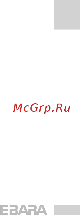 Ebara BHSE 8190-11 Инструкция по эксплуатации онлайн [37/59] 444849