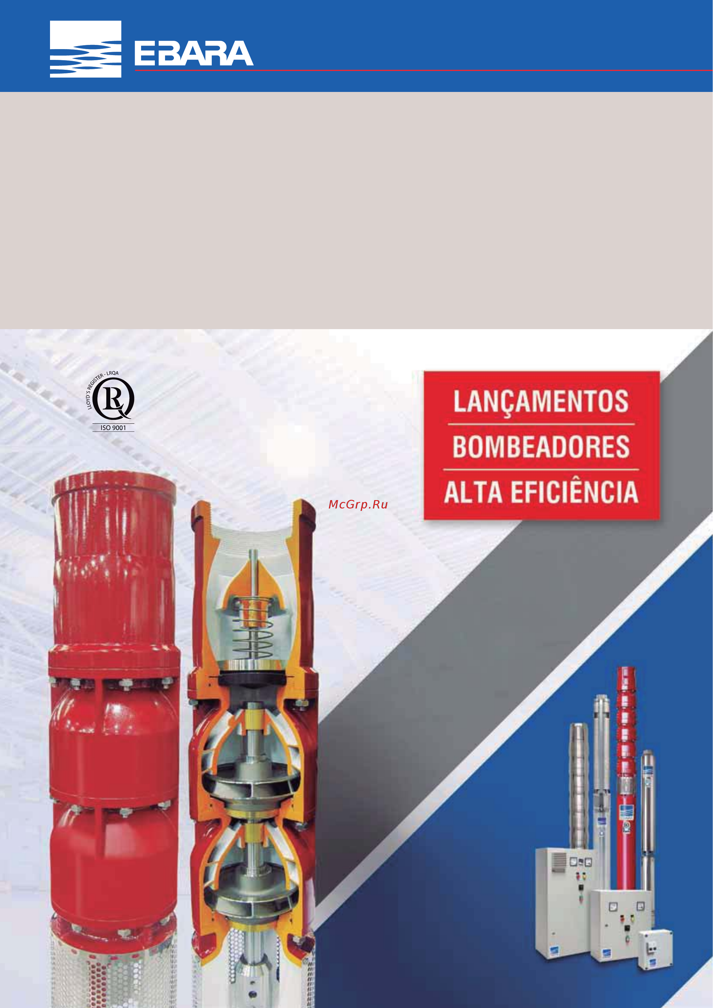 Ebara BHSE 8190-09 Технические данные онлайн