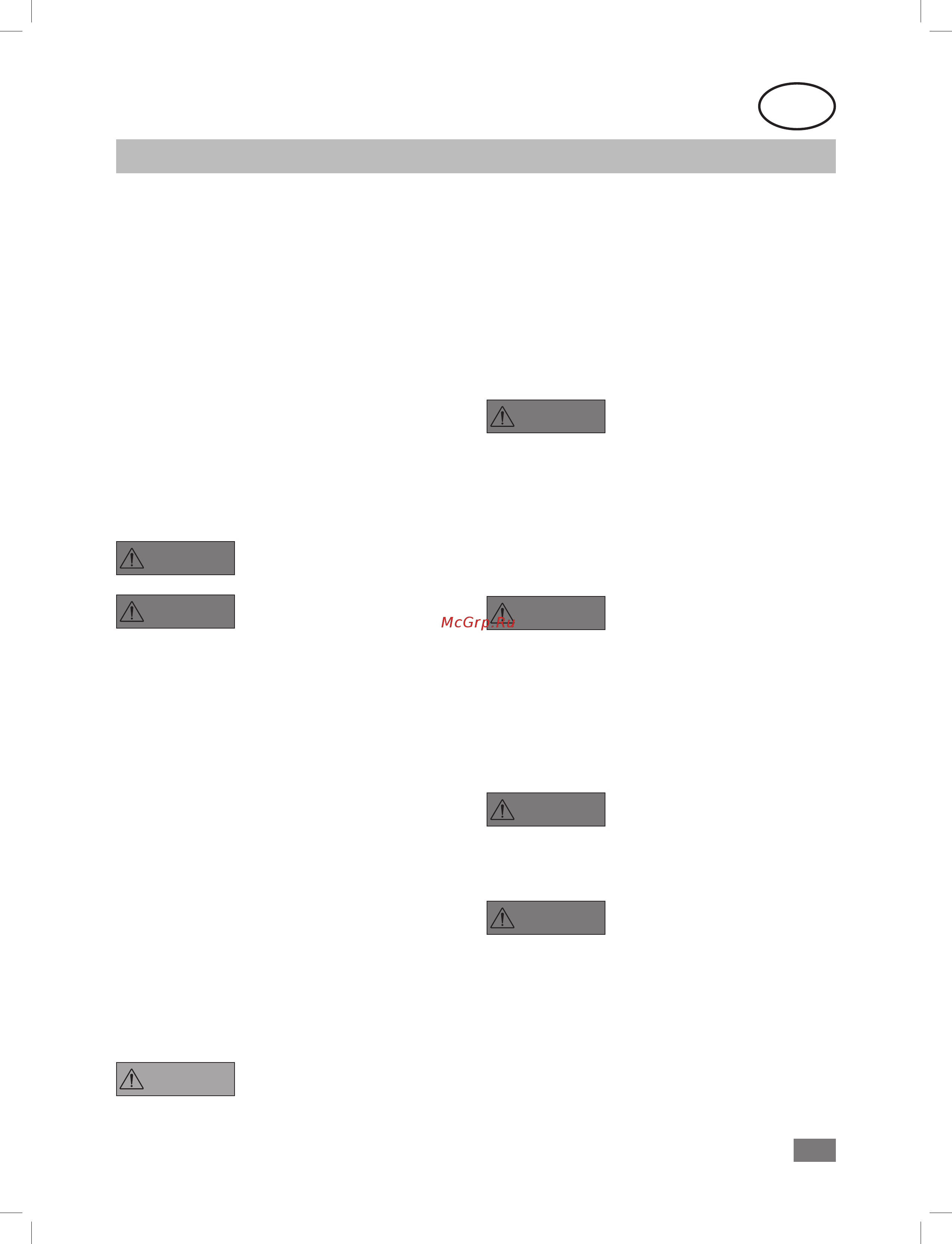 IKA A 10 basic 0004020700 [94/100] Drošības norādījumi