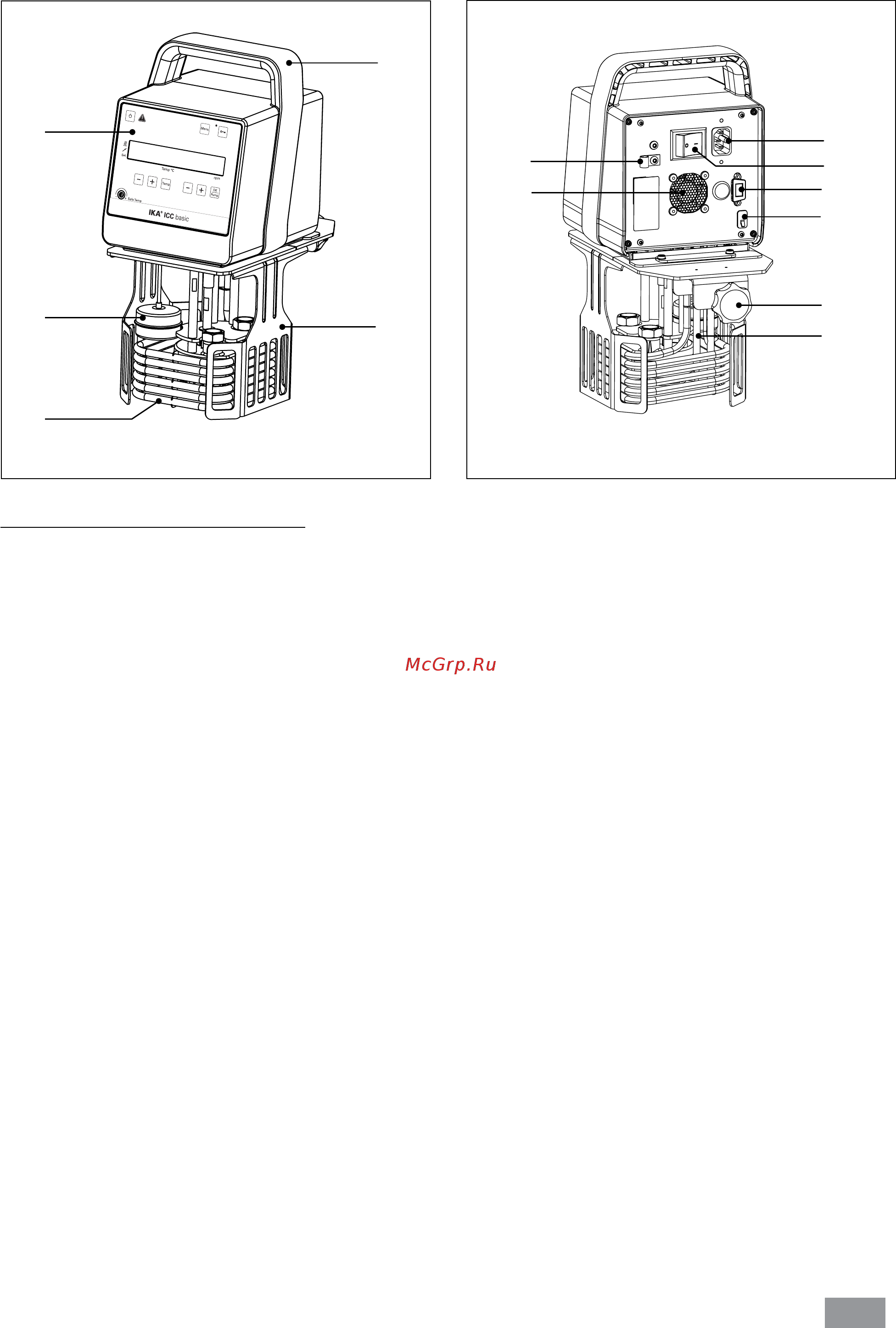 IKA ICC basic eco 18 0008035000 Руководство по эксплуатации онлайн [2/20] 446267