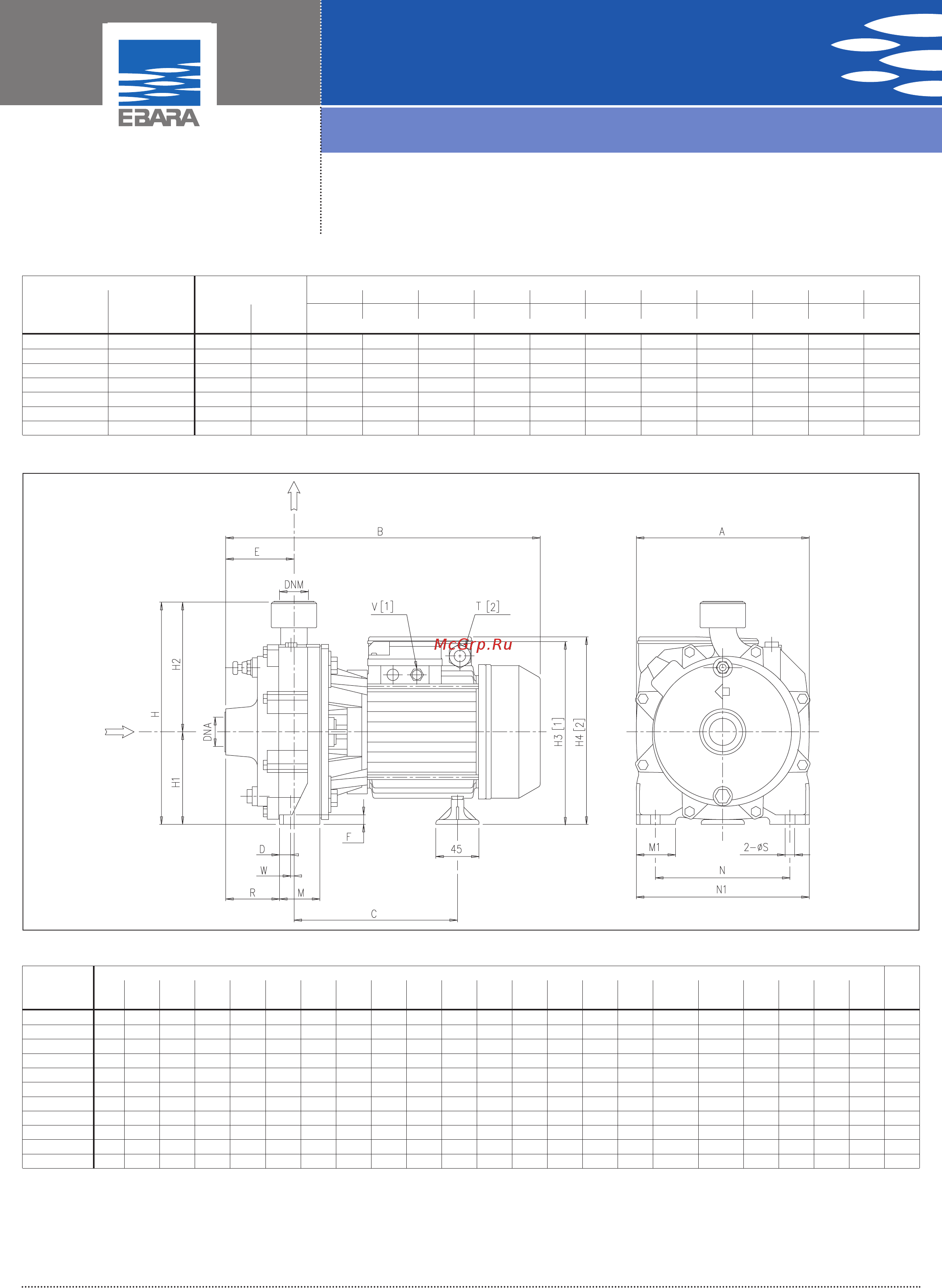 Ebara CDA 2.00T [2/4] Dual impeller centrifugal electric pumps