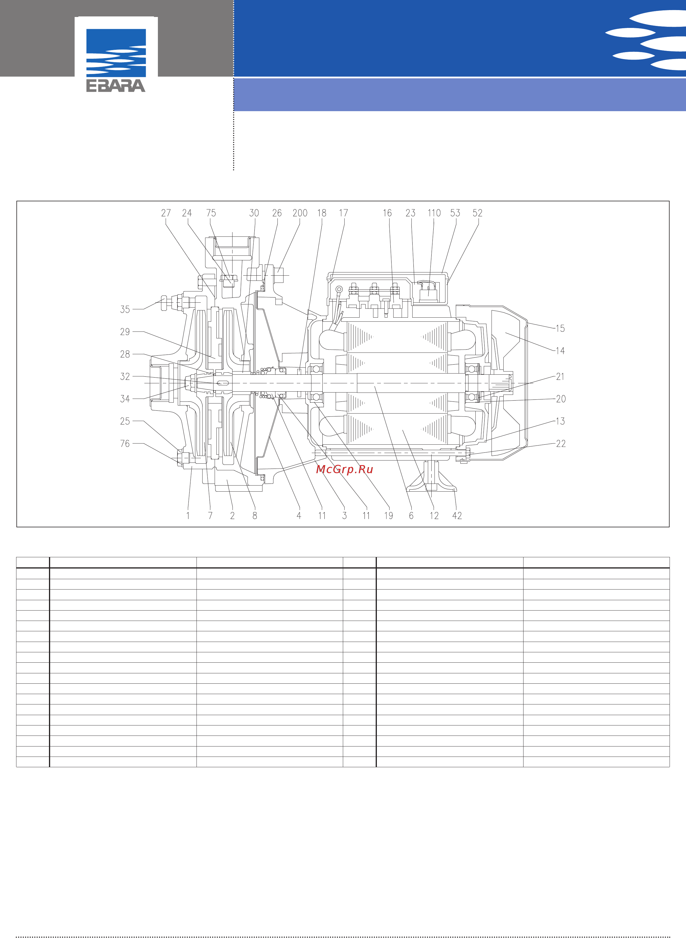 Ebara CDA 1.00T [3/4] Dual impeller centrifugal electric pumps