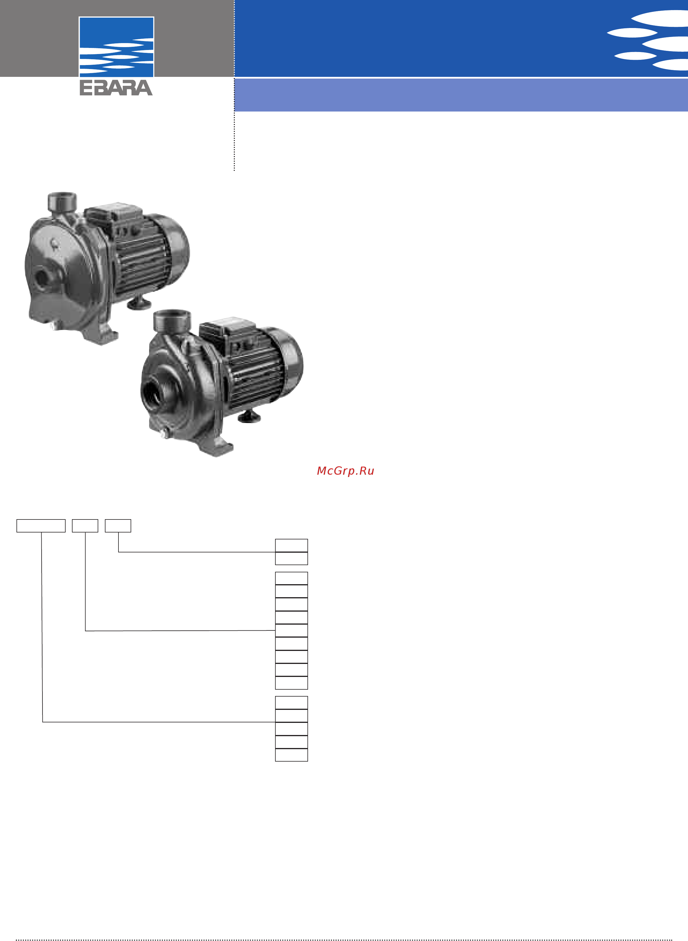 Ebara CMD 2.00 T Технические данные онлайн