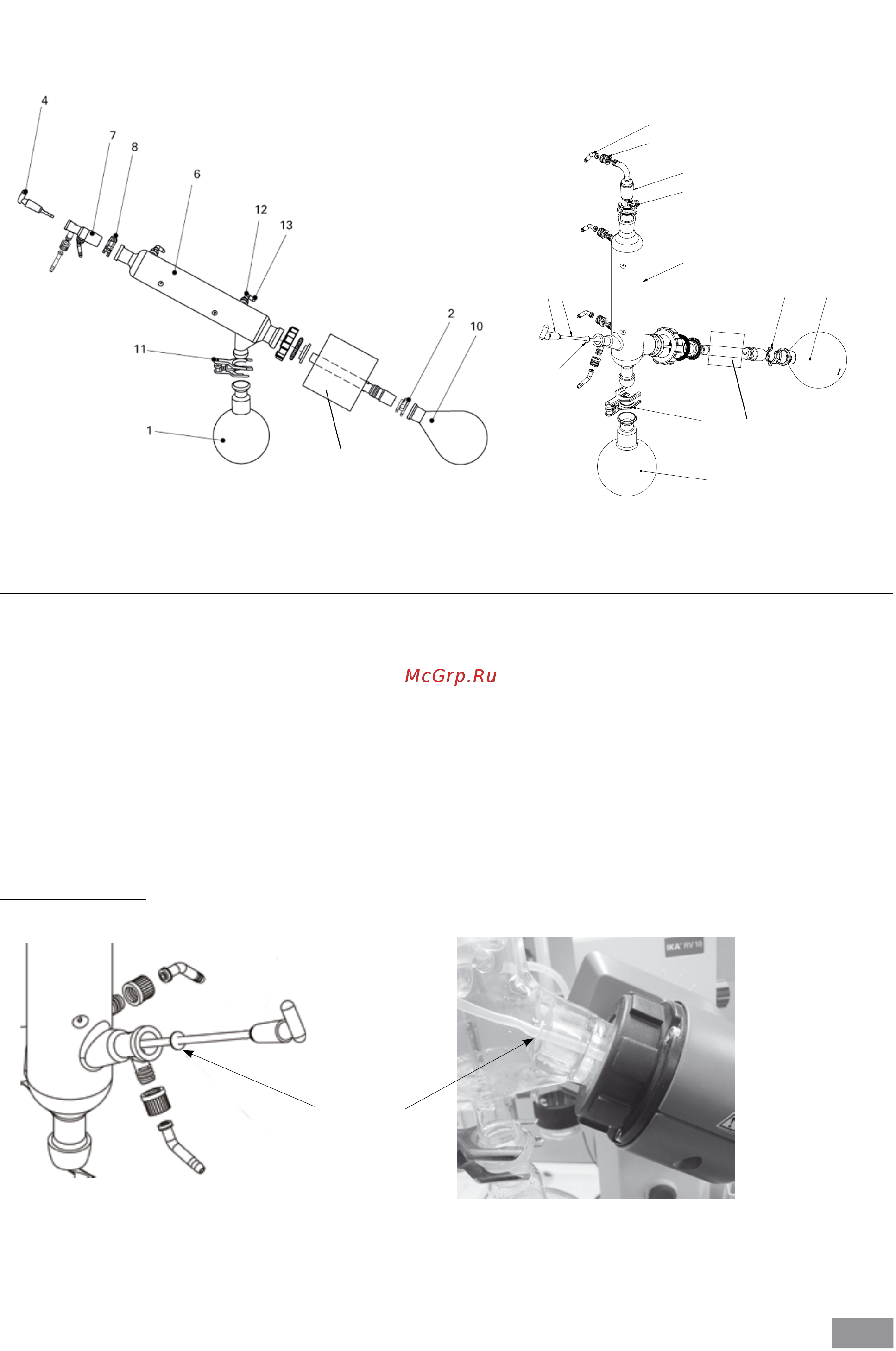 IKA RV 10 digital FLEX 0010004805 Инструкция по эксплуатации онлайн [12/96] 446452
