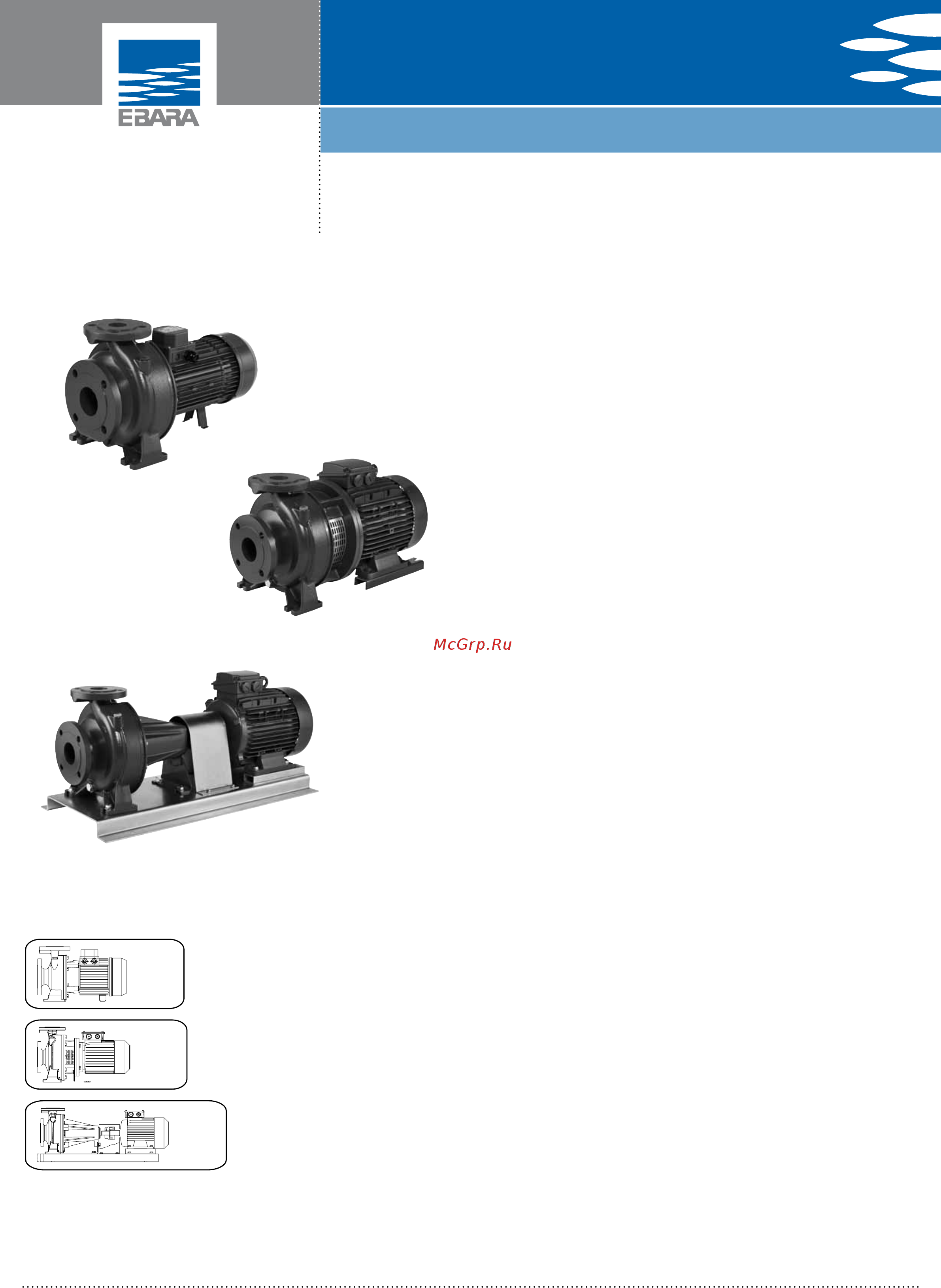 Ebara 3DS 50-125/4.0 [2/66] D series