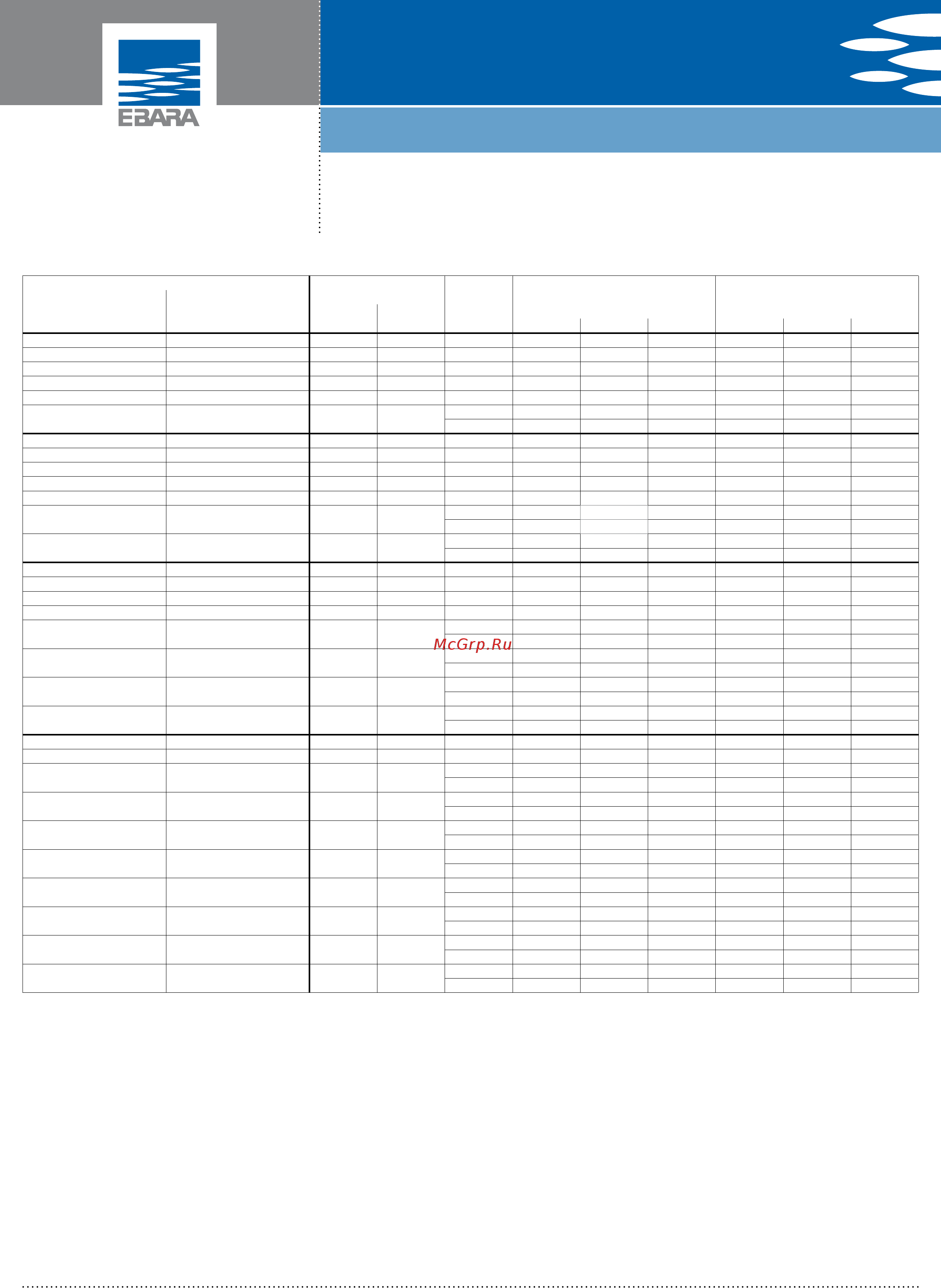 Ebara 3DP4 65-200/3 [35/66] D series