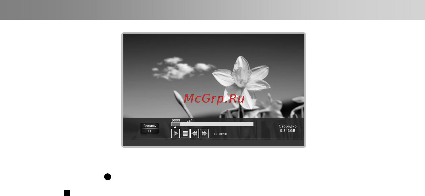 DEXP H20B7200C [21/31] Пустая страница