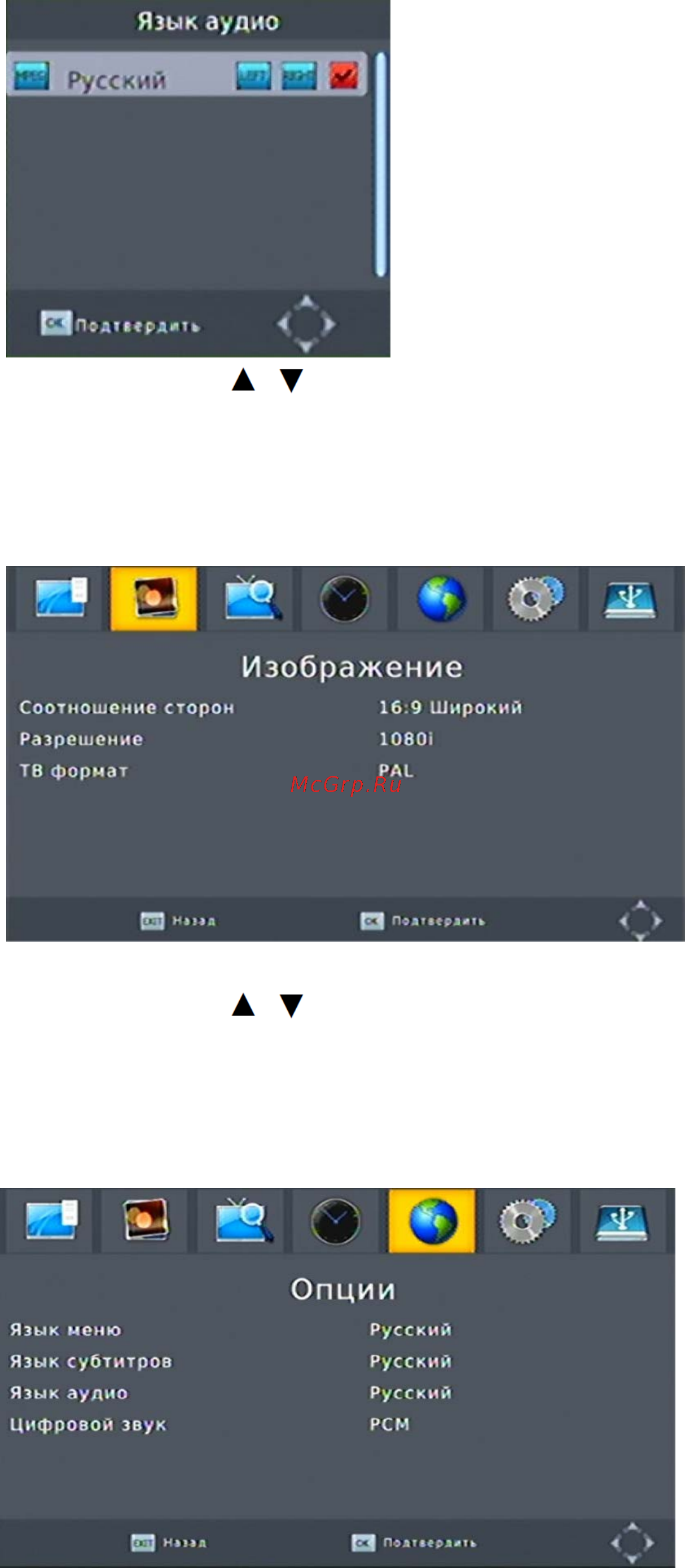 DEXP HD 1813P [12/17] Если канал транслируется одновременно на нескольких языках вы можете выбрать подходящий язык аудио также вы можете выбрать подходящий формат звучания