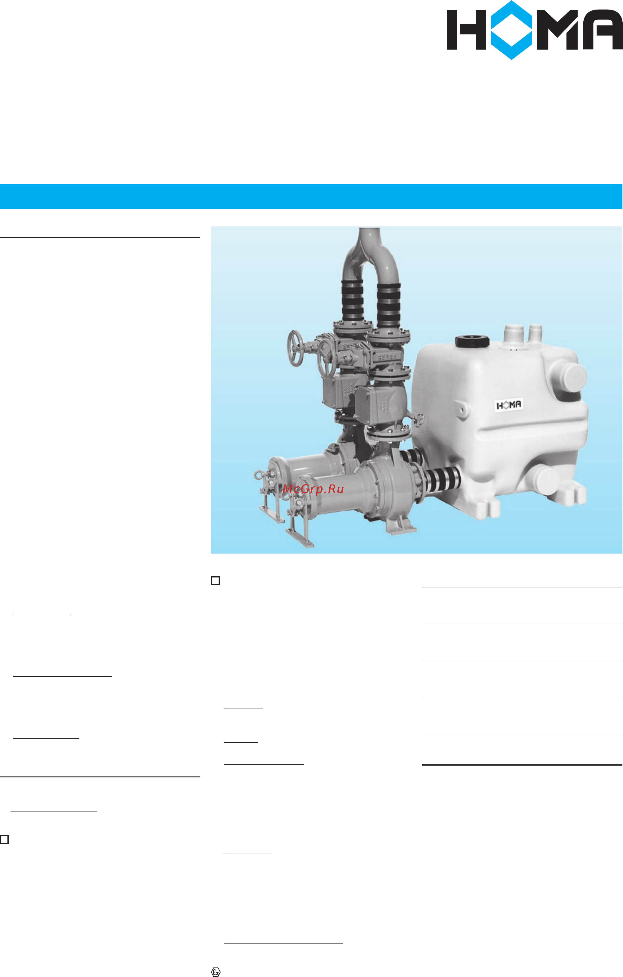 Homa Sanimaster PE80T - MX2331 - T82 Технические данные онлайн