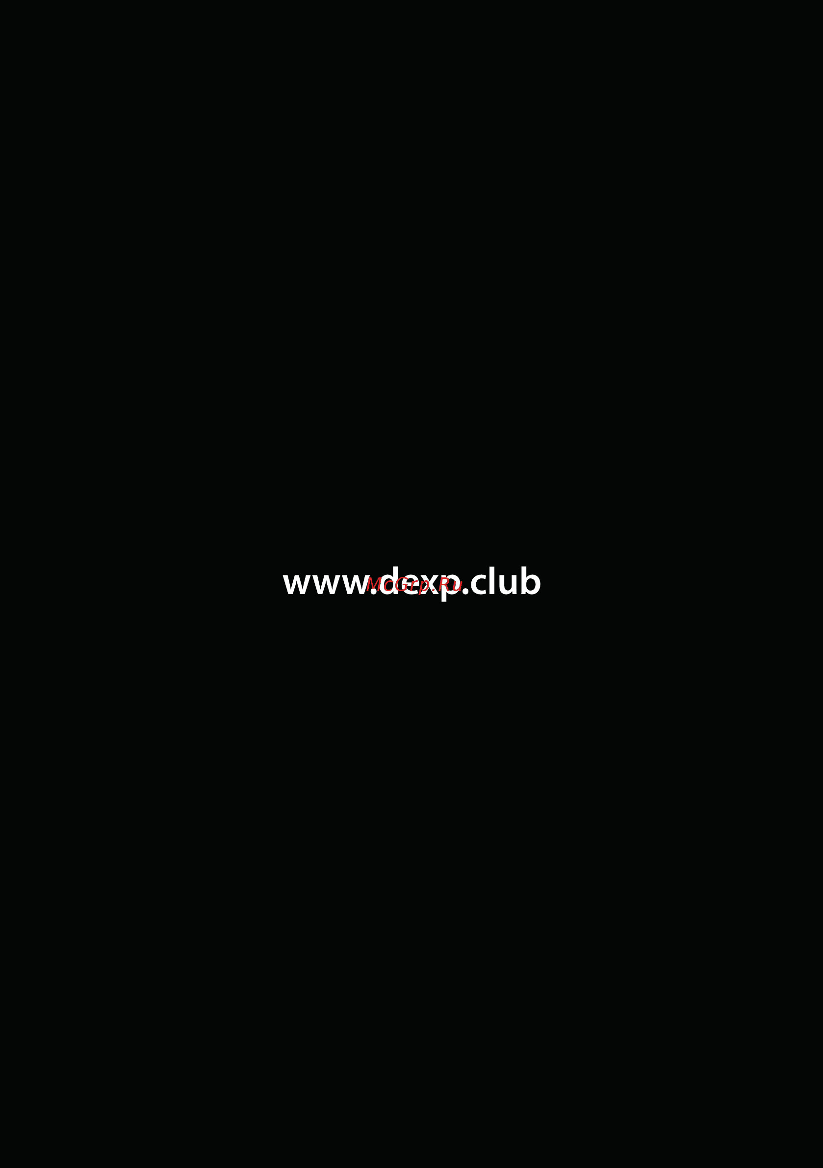DEXP RP101B Инструкция по эксплуатации онлайн [12/12] 450190