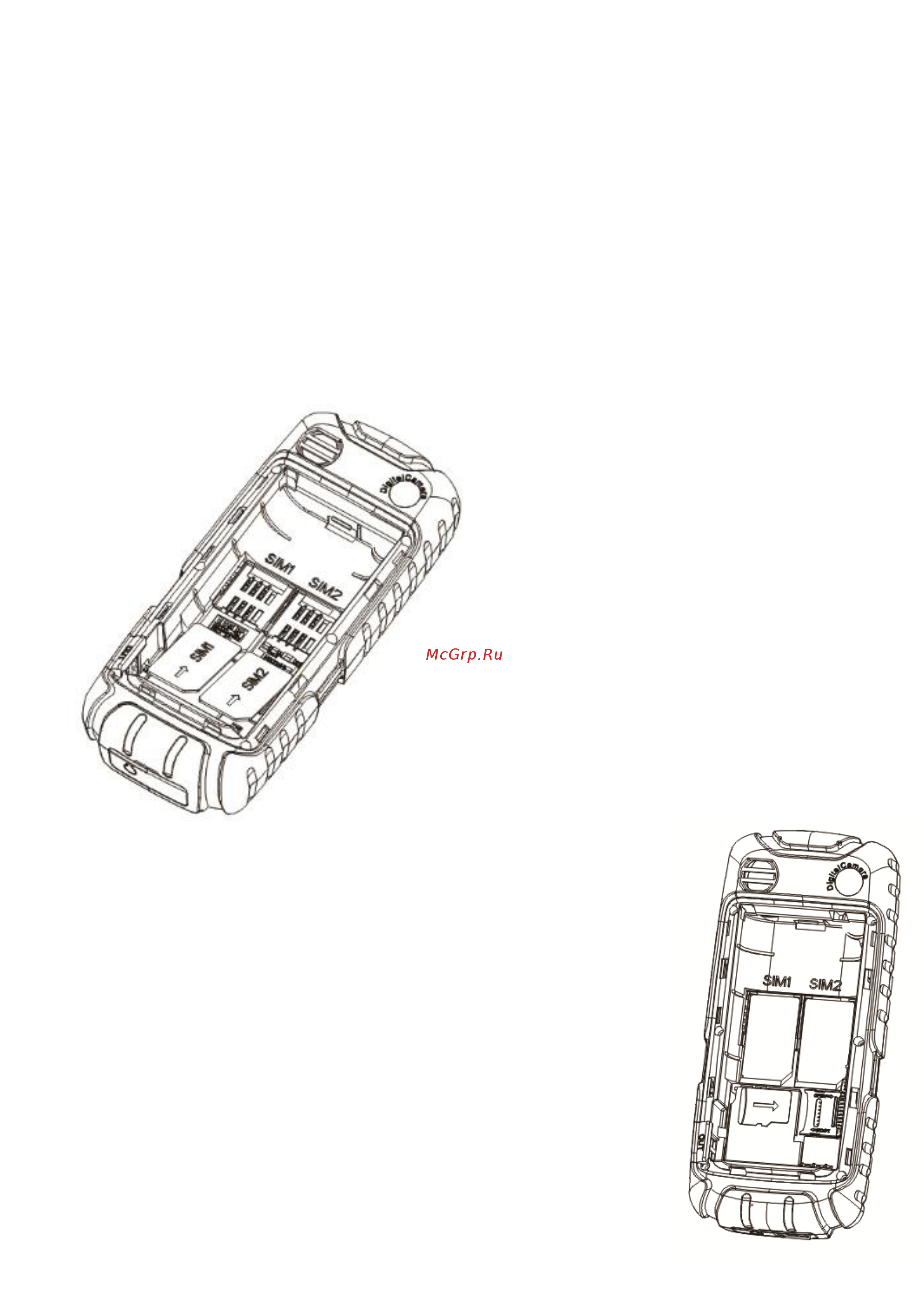 DEXP Larus F1 [7/13] Начало работы