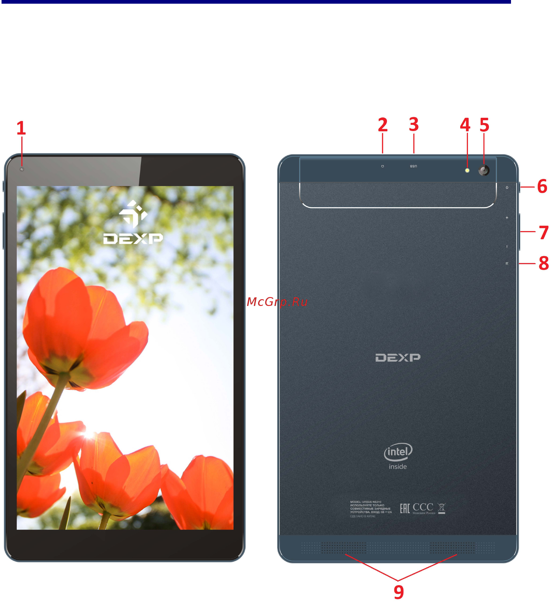 DEXP Ursus NS310 [7/37] Схема устройства