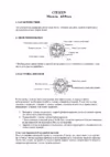 Citizen AN9000-53B Инструкция по эксплуатации