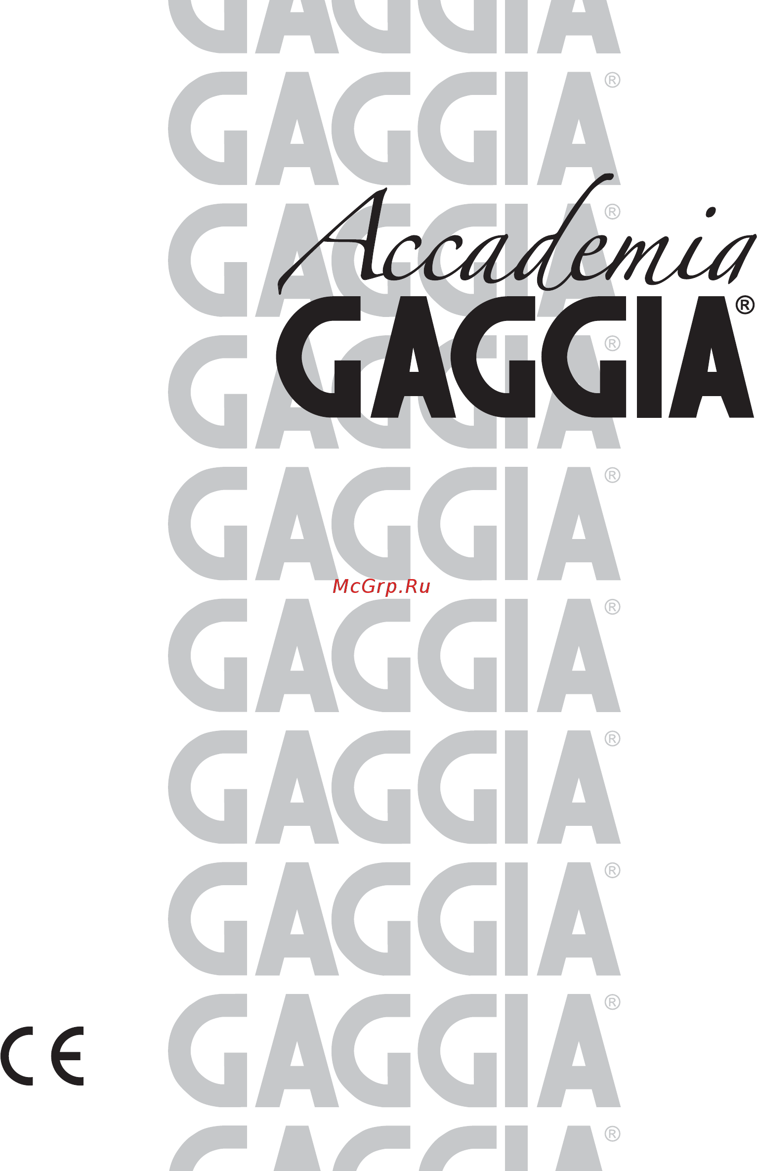 Gaggia ACCADEMIA Руководство пользователя онлайн