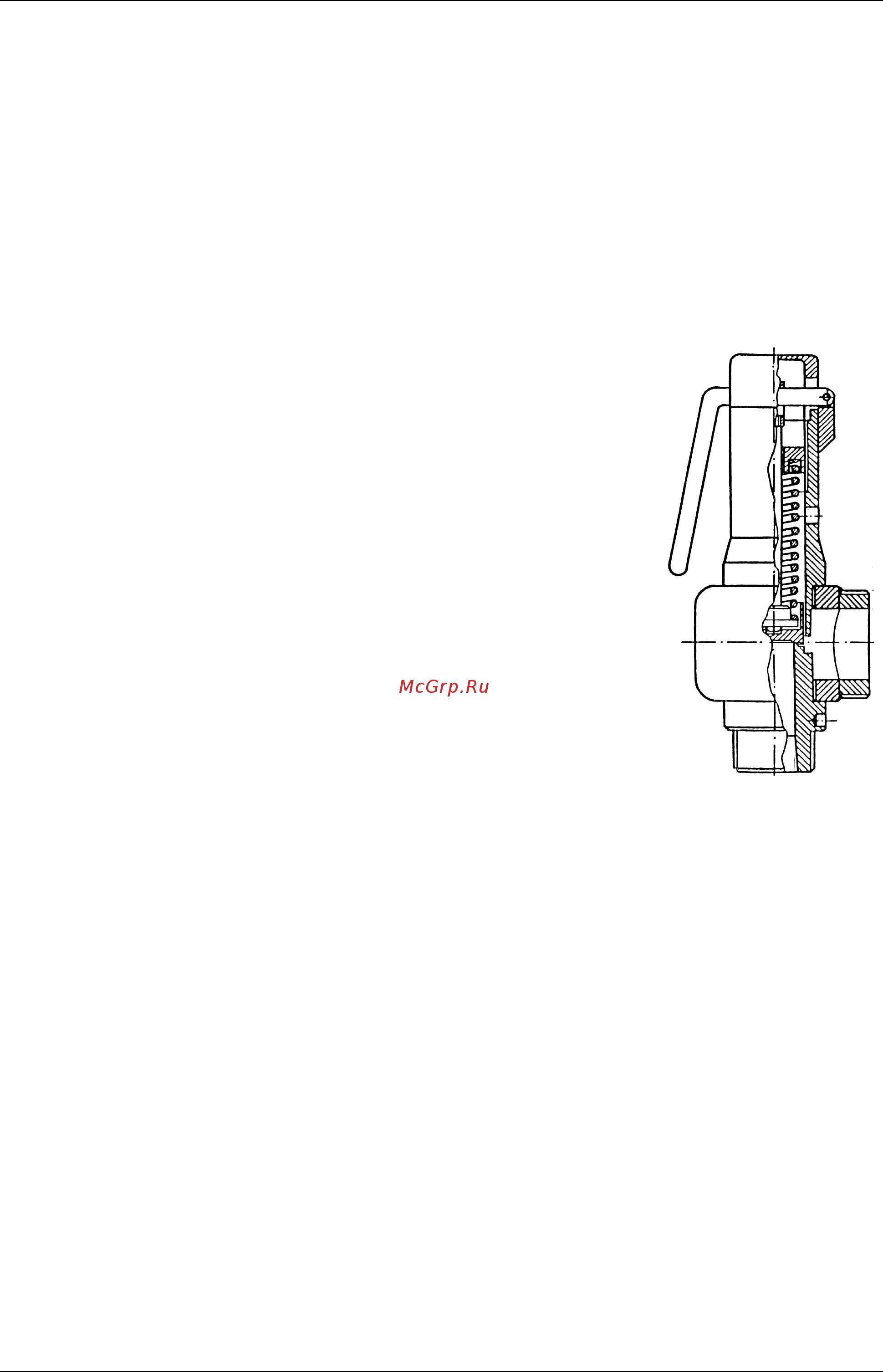 ICI Caldaie PX 50 [11/28] Предохранительный клапан