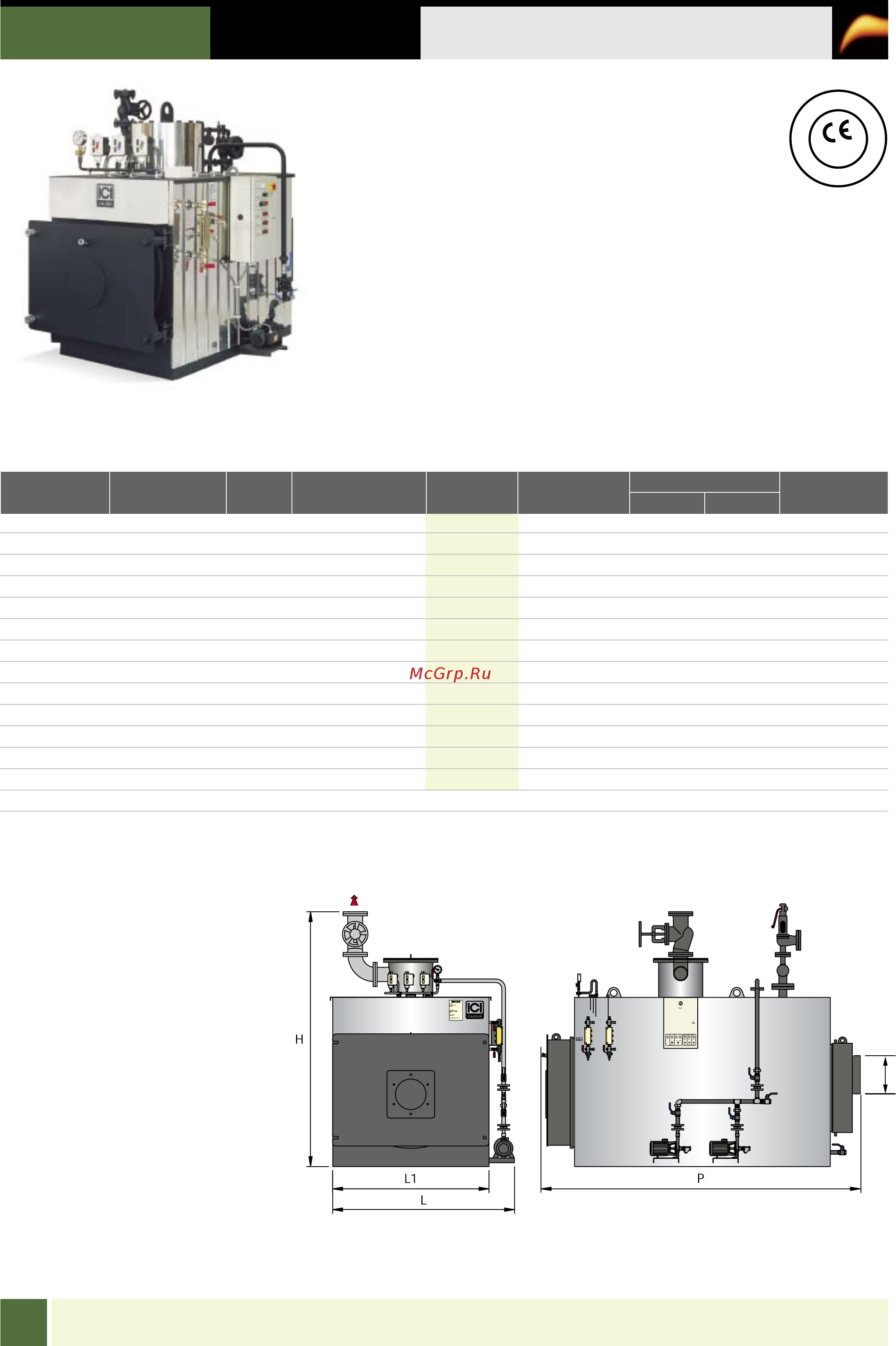 ICI Caldaie BX 1750 Технические данные онлайн