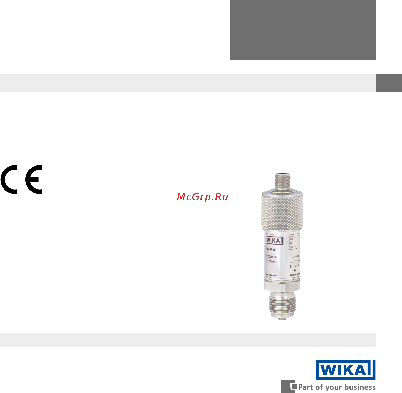 WIKA P-30 Инструкция по эксплуатации онлайн