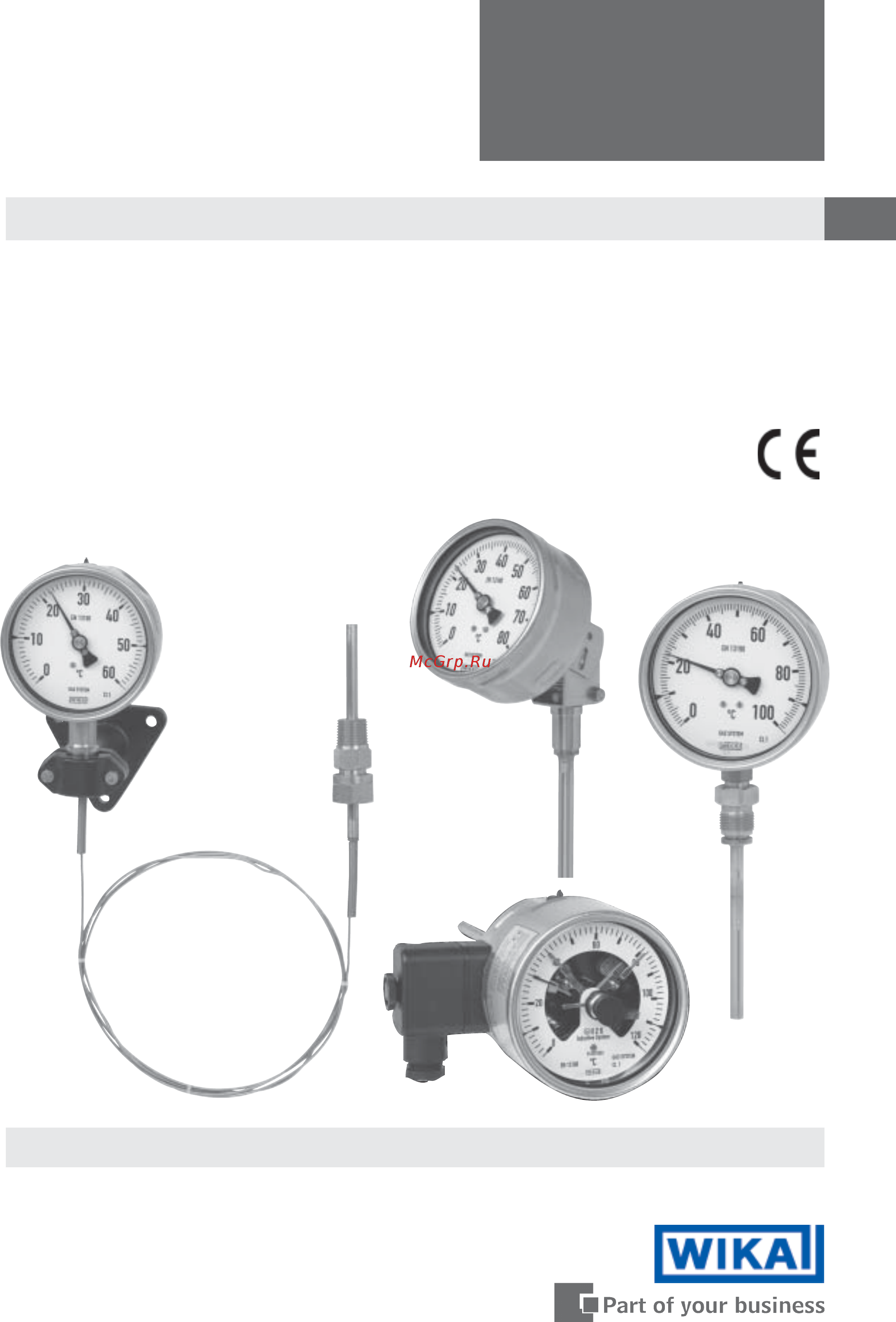 WIKA F73.100 Инструкция по эксплуатации онлайн
