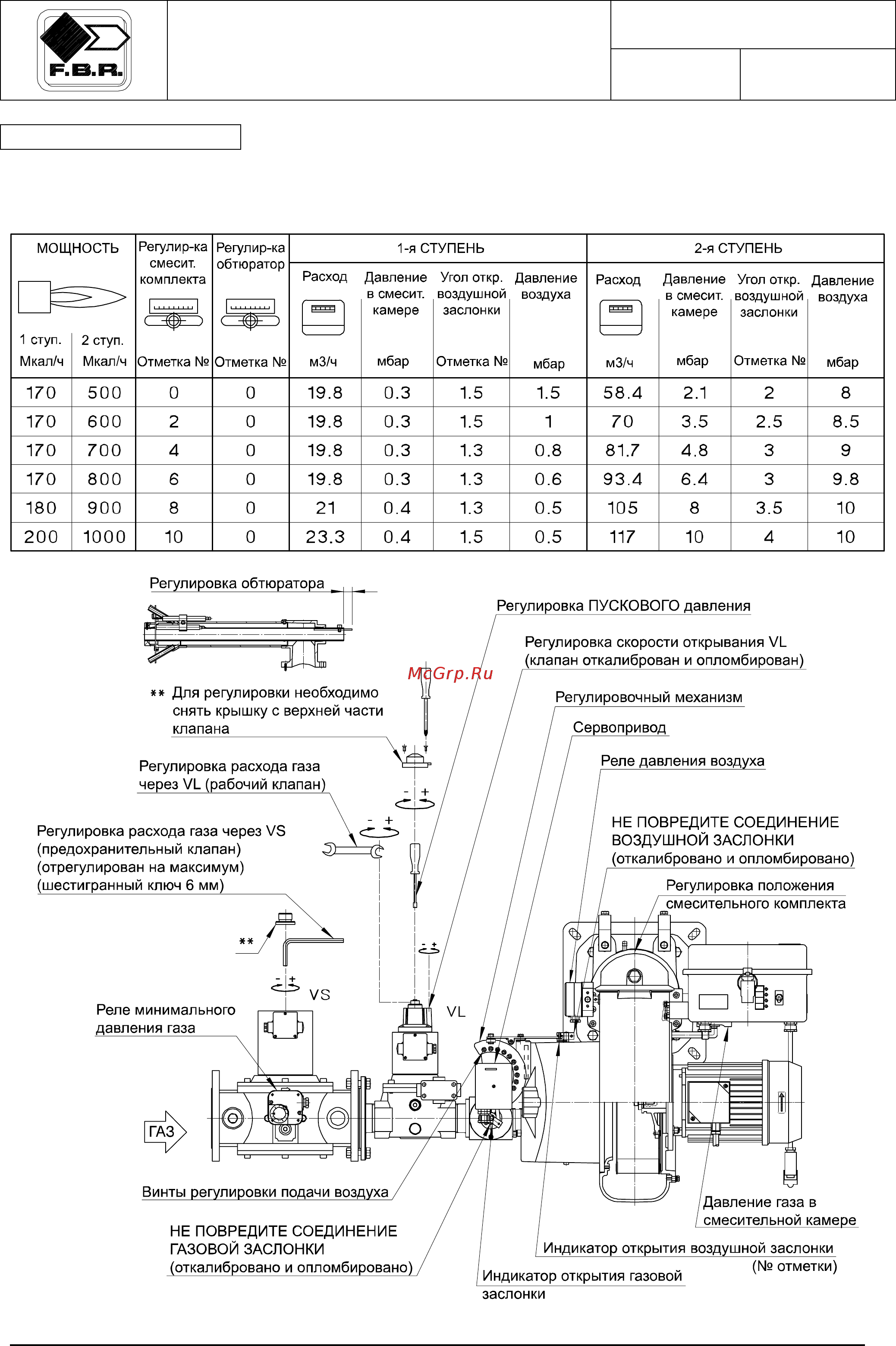 F.B.R. GAS P 100/M CE TL + R. CE-CT D2