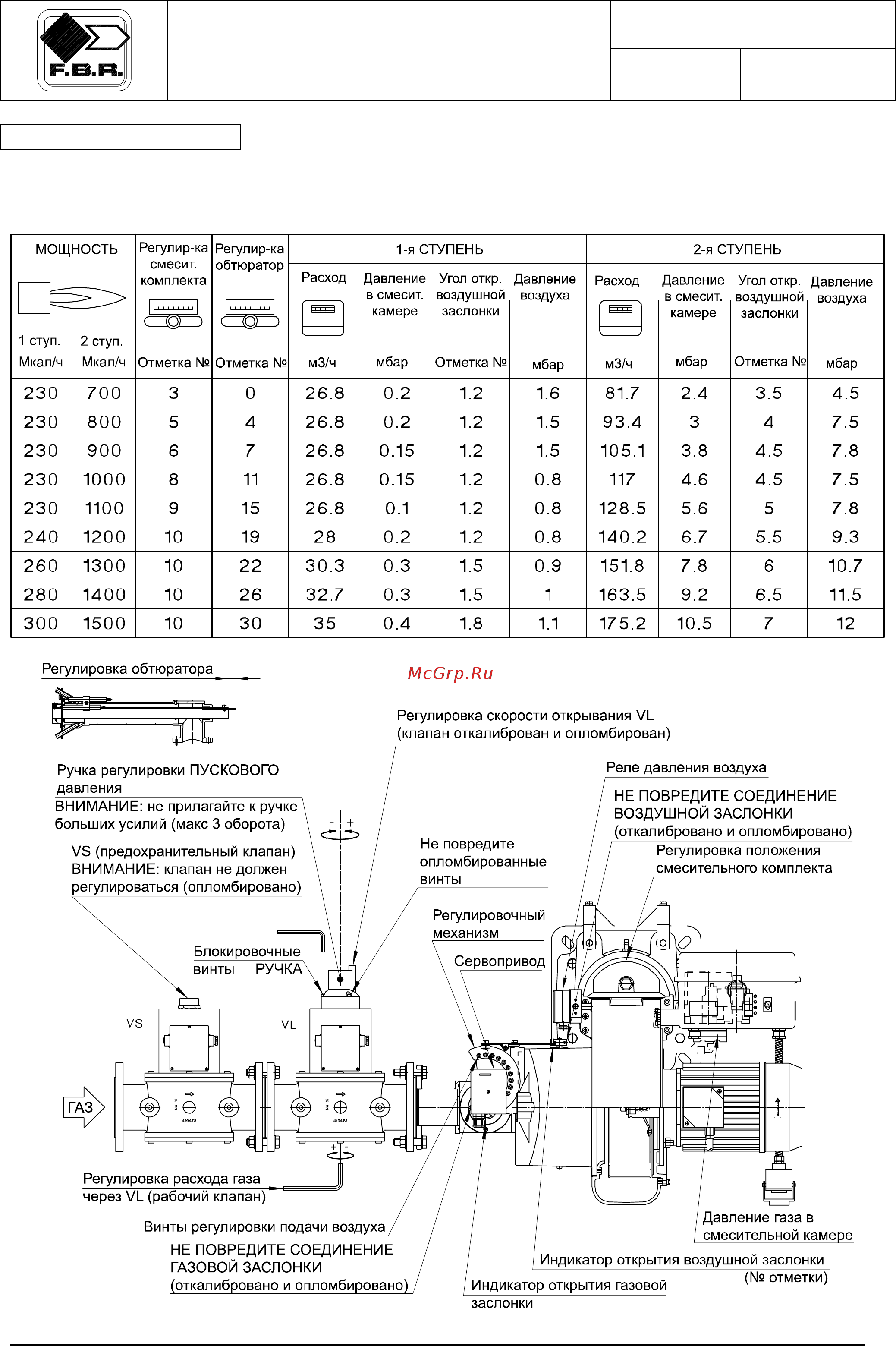 F.B.R. GAS P 100/M CE TL + R. CE-CT D2