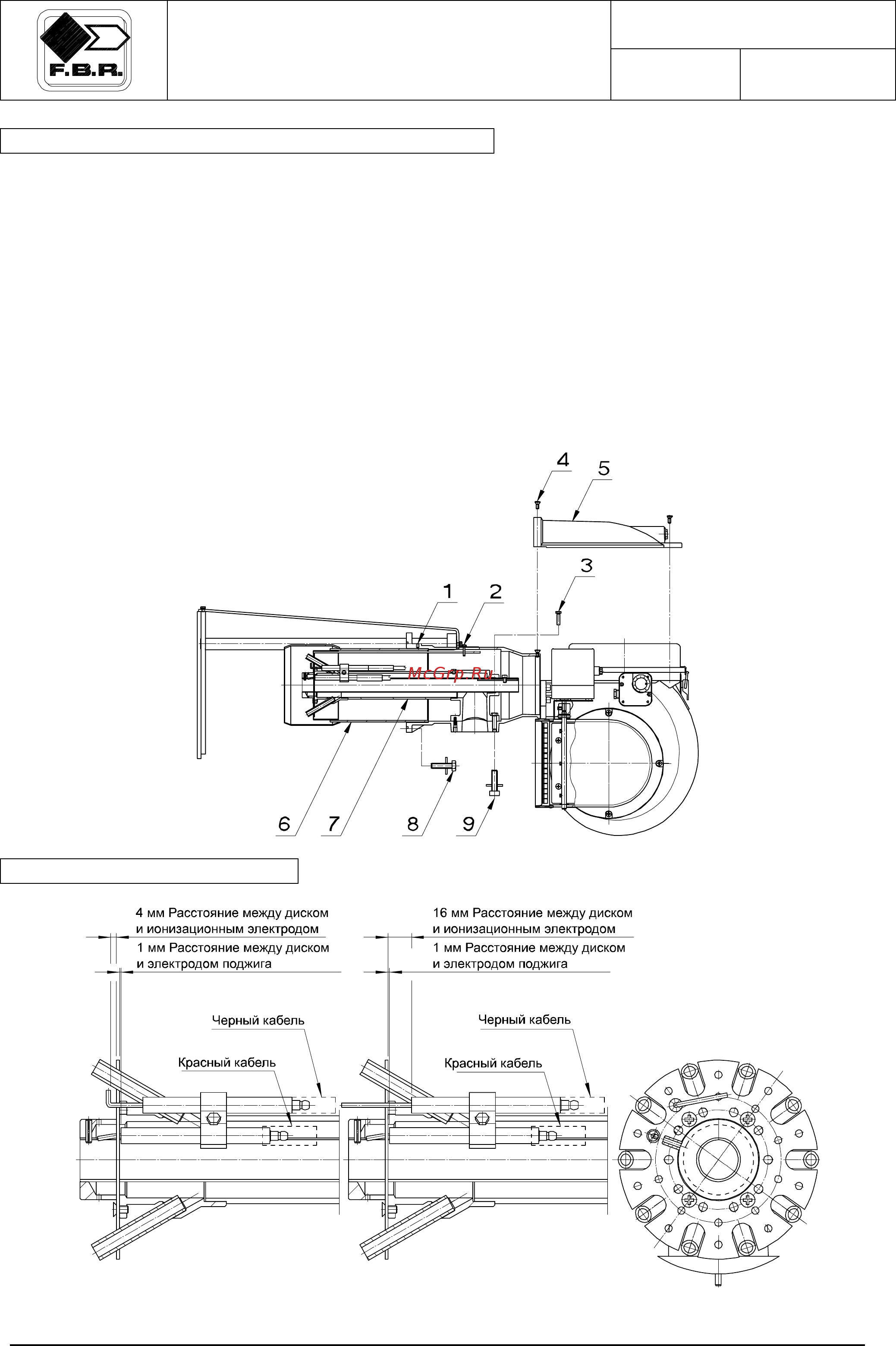 F.B.R. GAS P 100/M CE TL + R. CE-CT D1