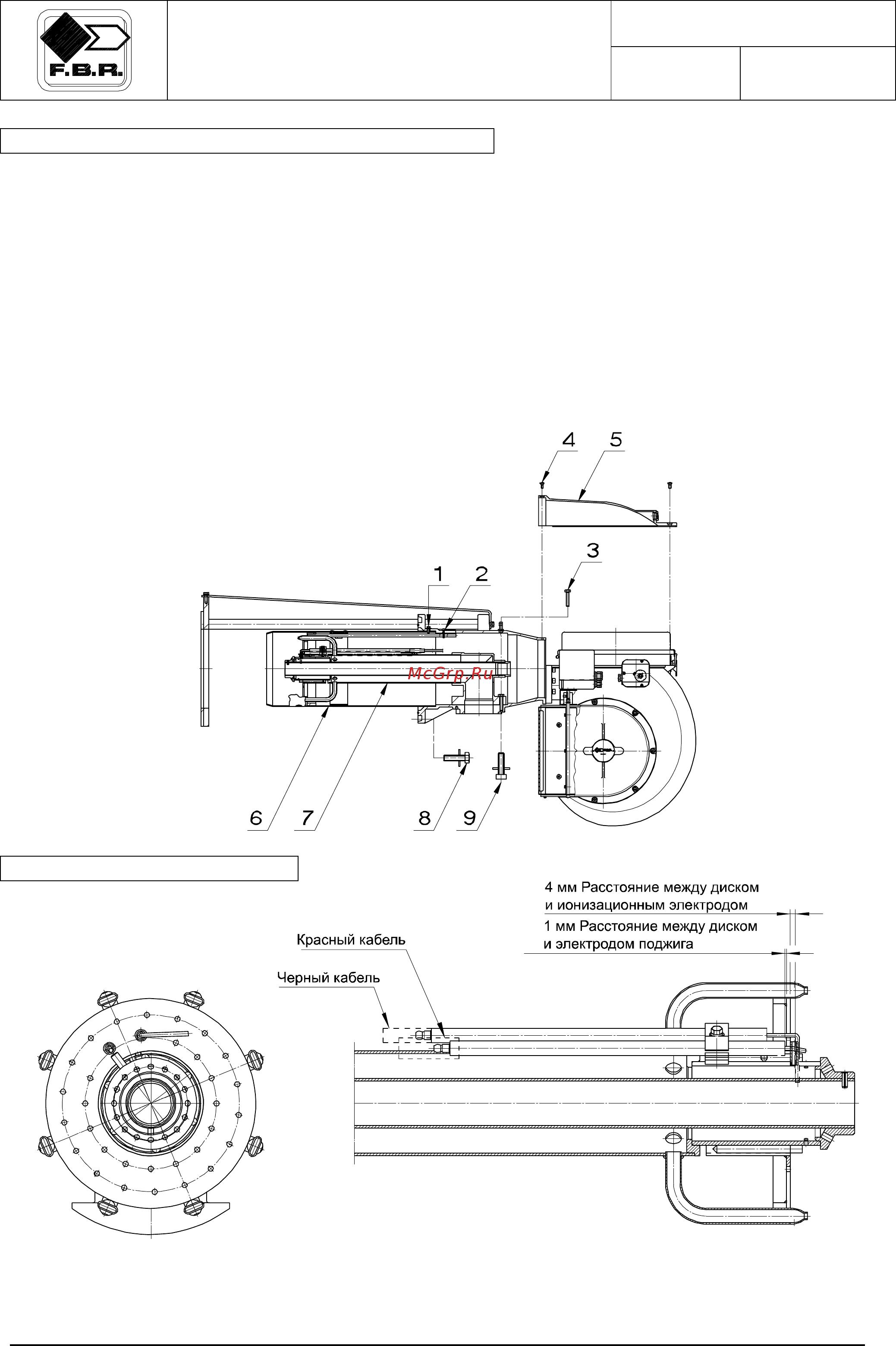 F.B.R. GAS P 100/M CE TL + R. CE-CT D2
