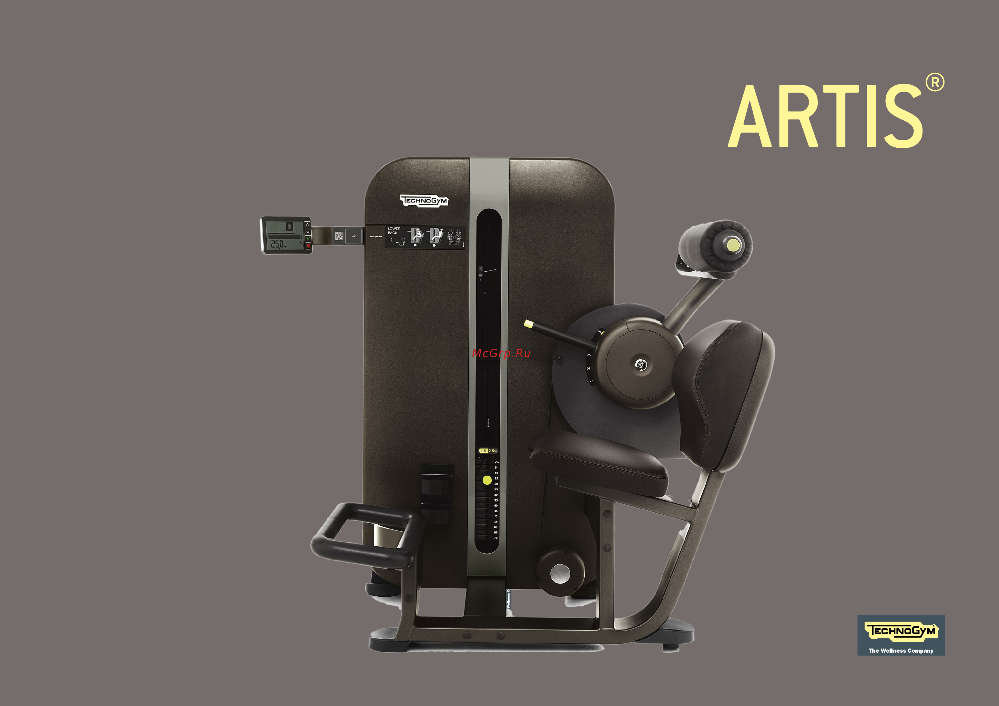 Technogym Arm Extension Инструкция по эксплуатации онлайн