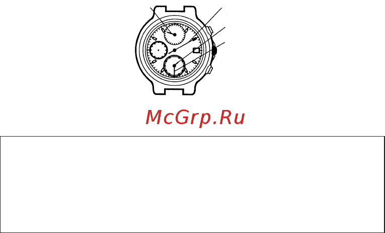 Orient TT0M001W Инструкция по эксплуатации онлайн [7/14] 462005