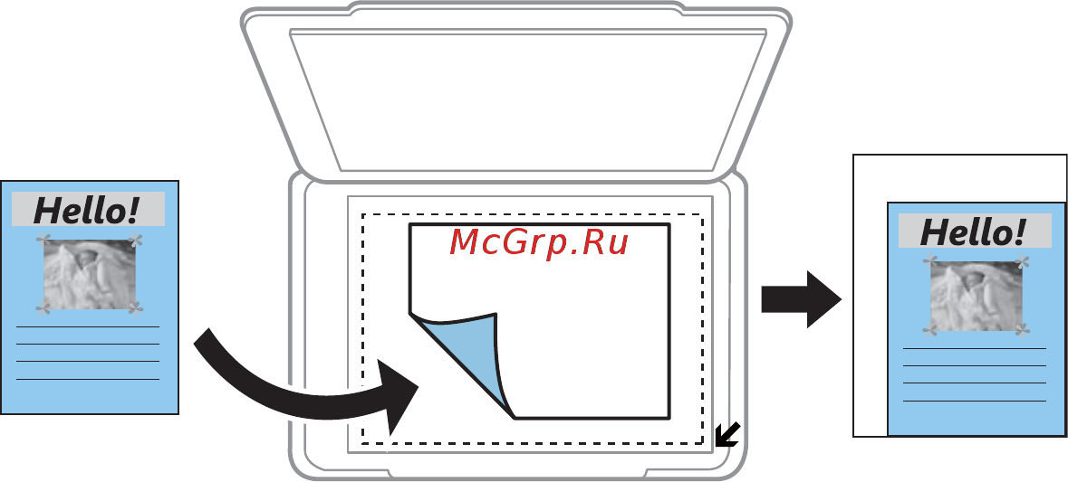 Epson L7180 [109/222] Тип документа