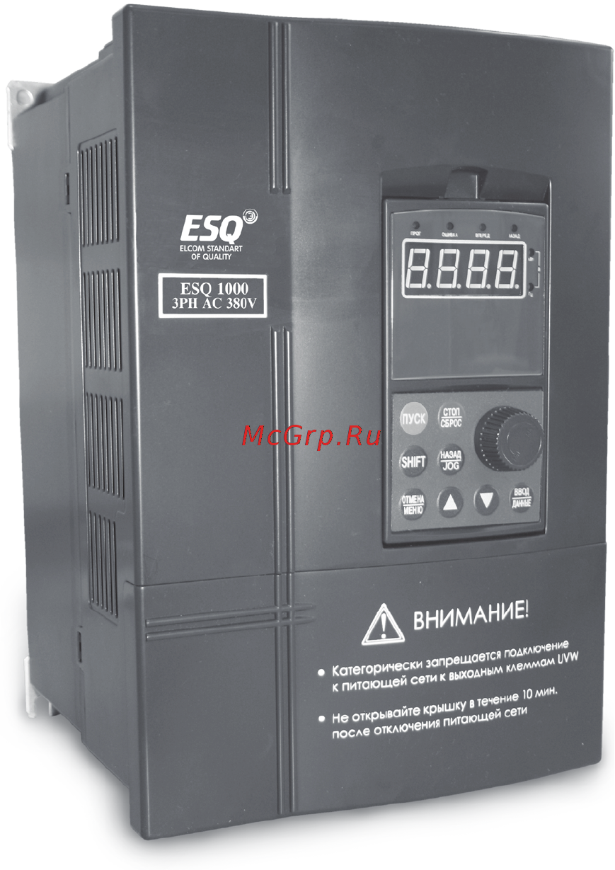 ESQ ESQ-1000-2S0037 Быстрый пуск в работу онлайн
