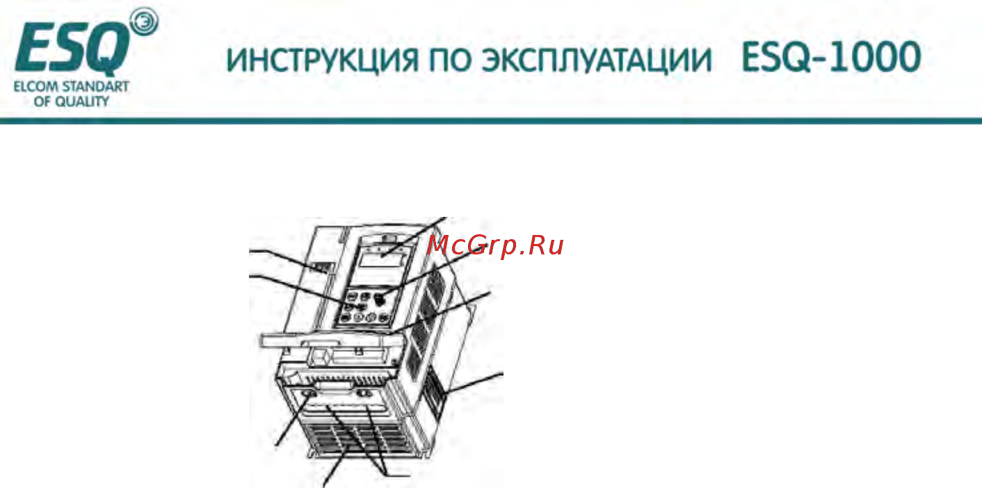 ESQ ESQ-1000-2S0022 Инструкция по эксплуатации онлайн [11/202] 464629