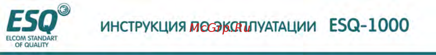 ESQ ESQ-1000-4T0150G Инструкция по эксплуатации онлайн [187/202] 464635