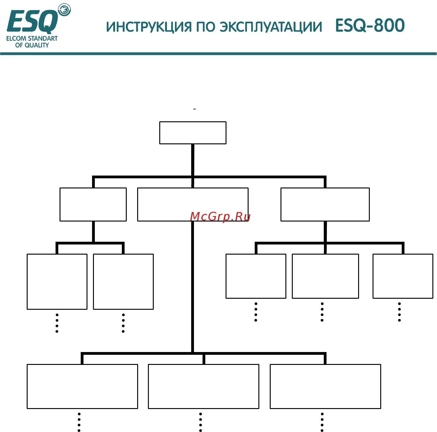 ESQ ESQ-800-2S0004 Инструкция по эксплуатации онлайн [27/161] 464678