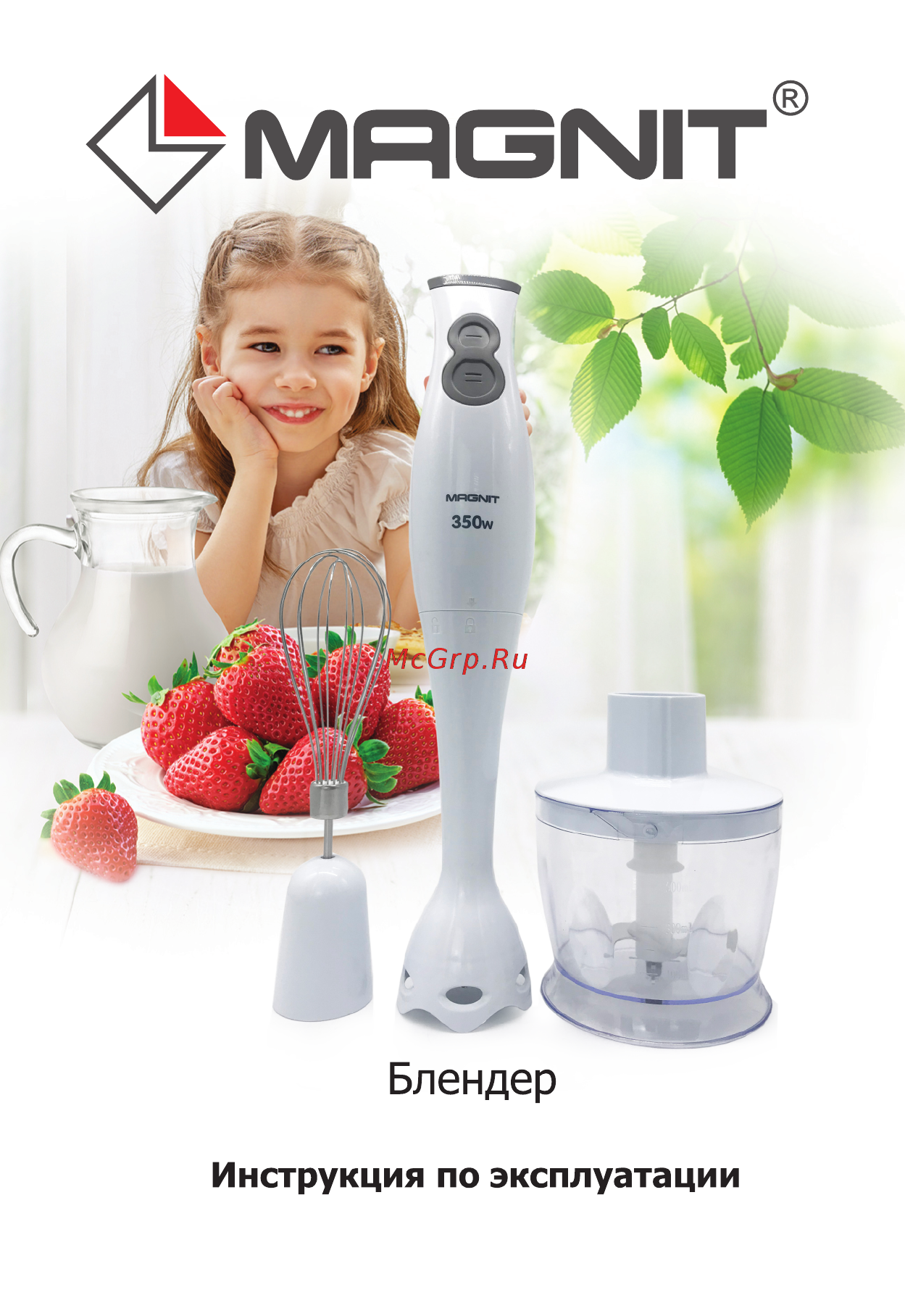 Magnit RMB-2608 Инструкция по эксплуатации онлайн