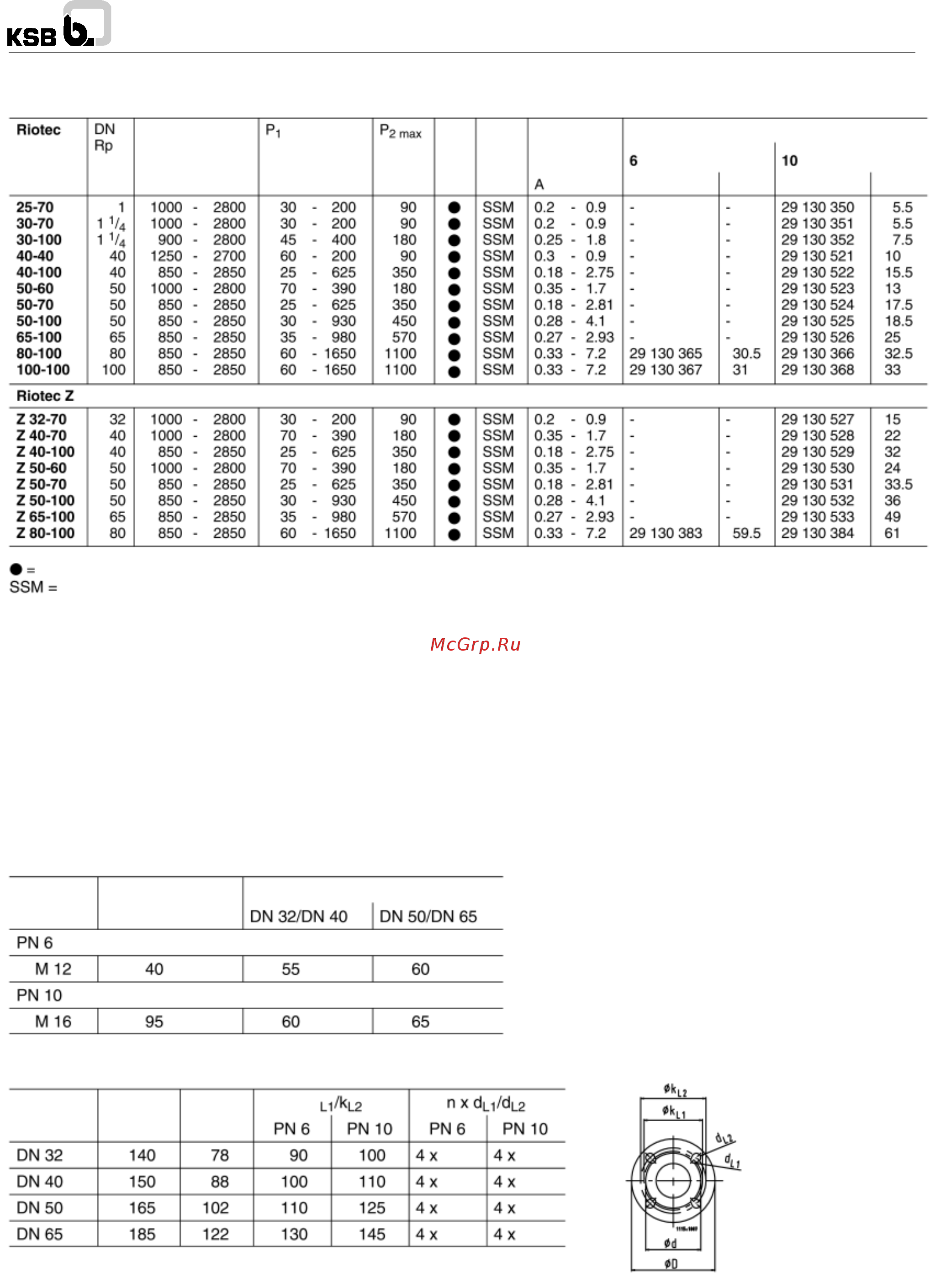 KSB Riotec 40-100 [14/20] Riotec riotec z