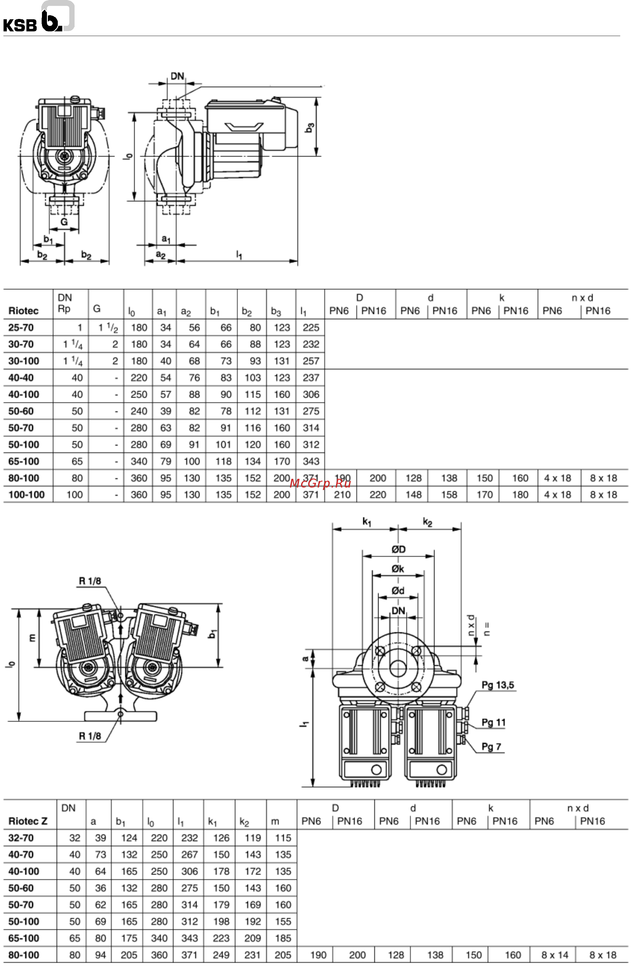 KSB Riotec 40-100 [15/20] Кэвь