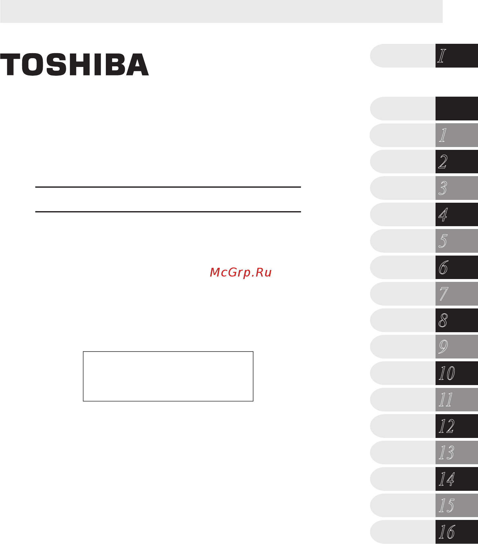 Toshiba VFS15-4015PL-WN Инструкция по эксплуатации онлайн