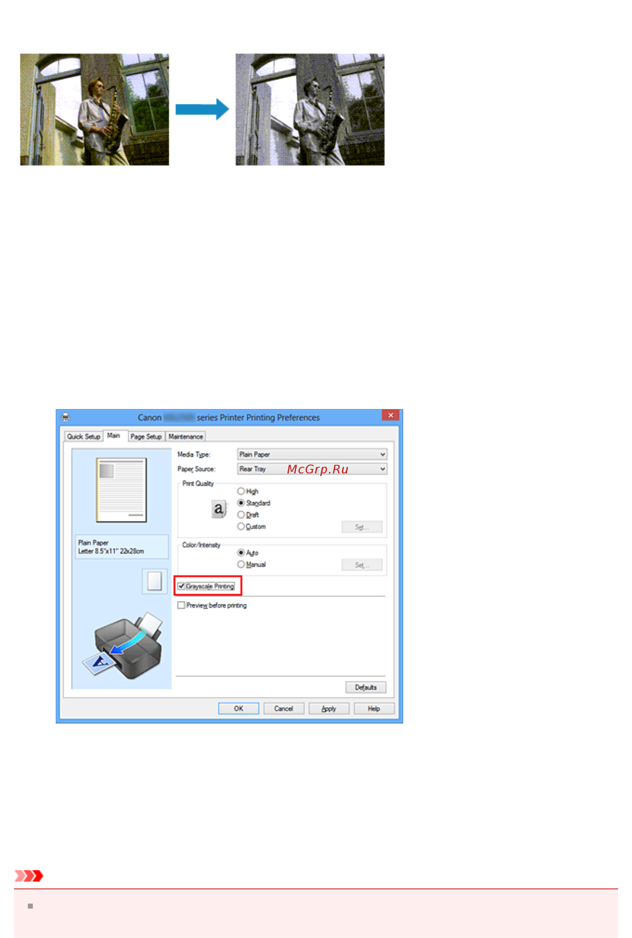 Canon PIXMA  MG2545 [321/638] Выберите оттенки серого