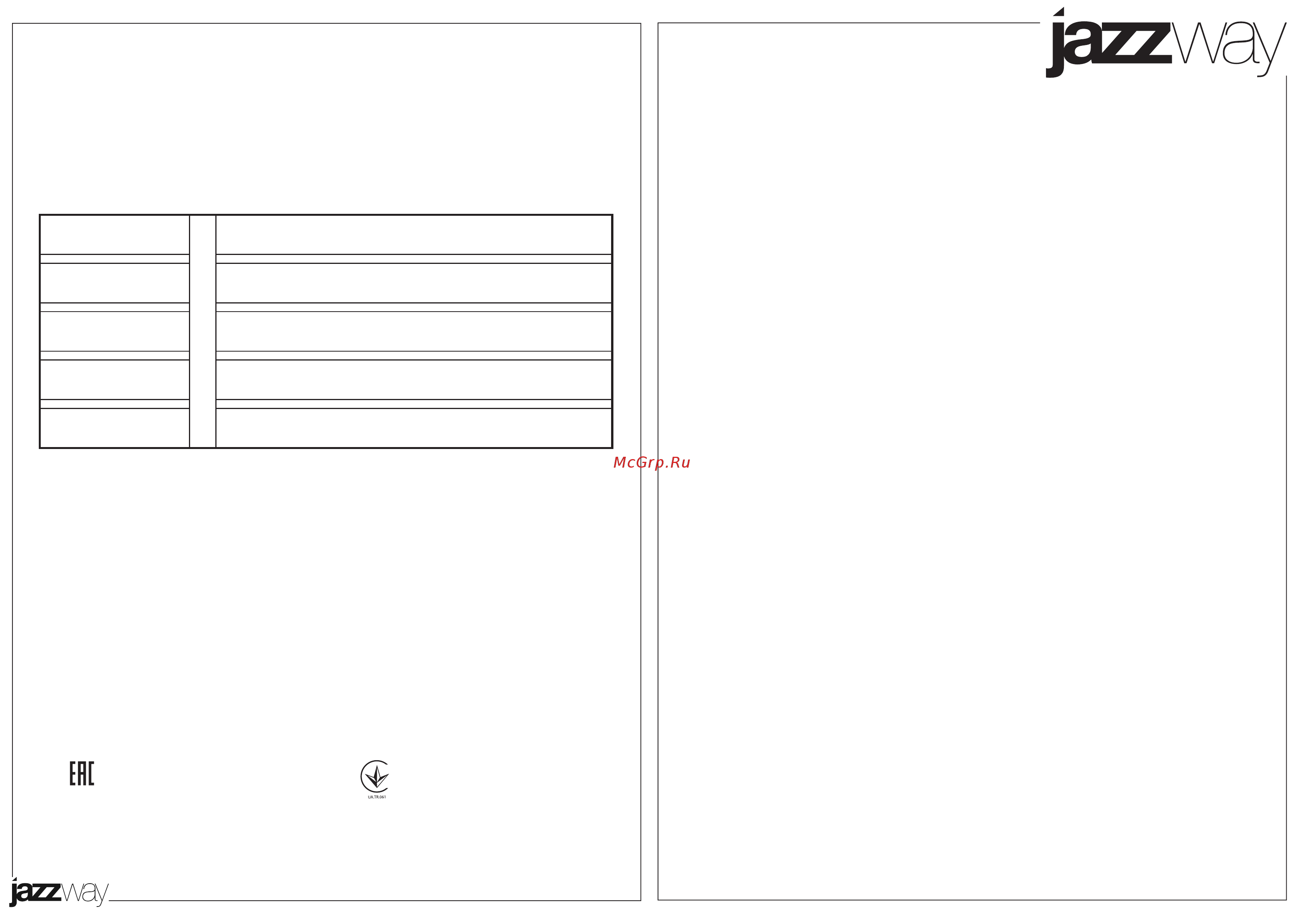 JazzWay PGX53d ER42-Epoxy Инструкция по эксплуатации онлайн