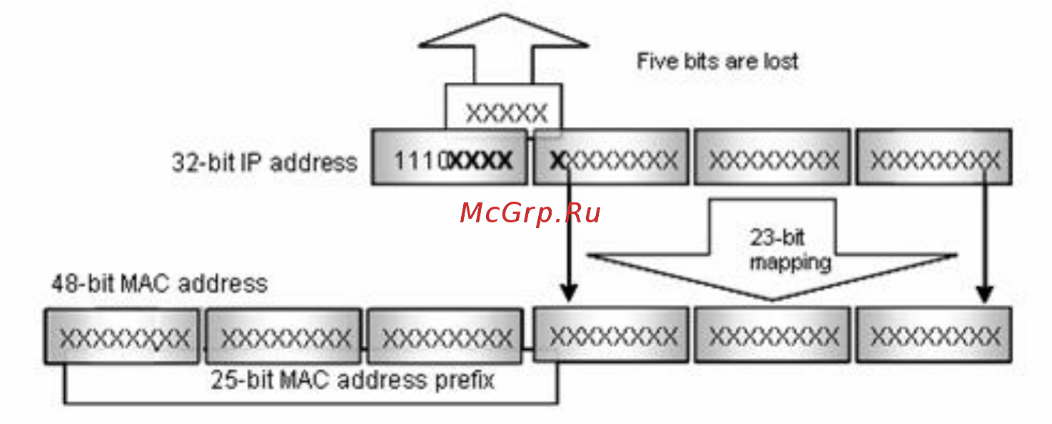 Qtech QSW-2900-24T-AC [89/209] Figure 1 5 mapping relationship between multicast ip address and multicast mac address