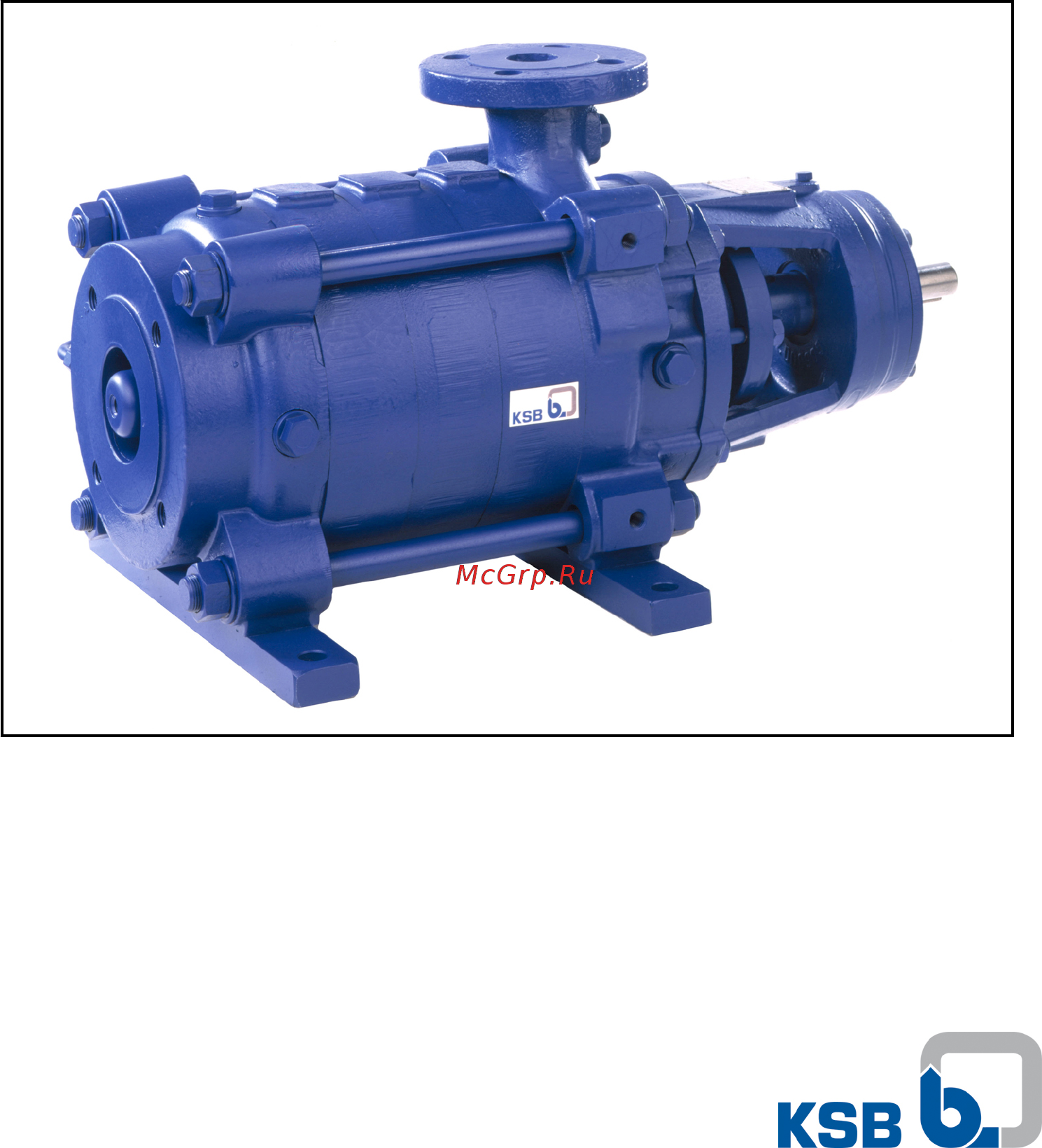 KSB Multitec RO MTC A 100/5D Технические данные онлайн